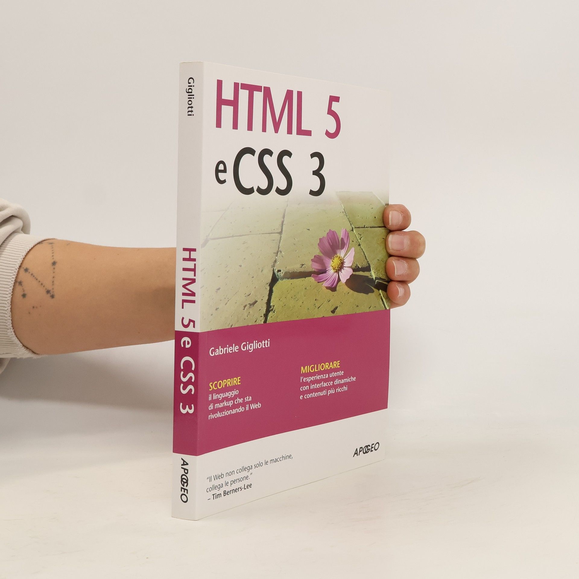 Gabriele Gigliotti HTML 5 e CSS 3 (Guida completa)