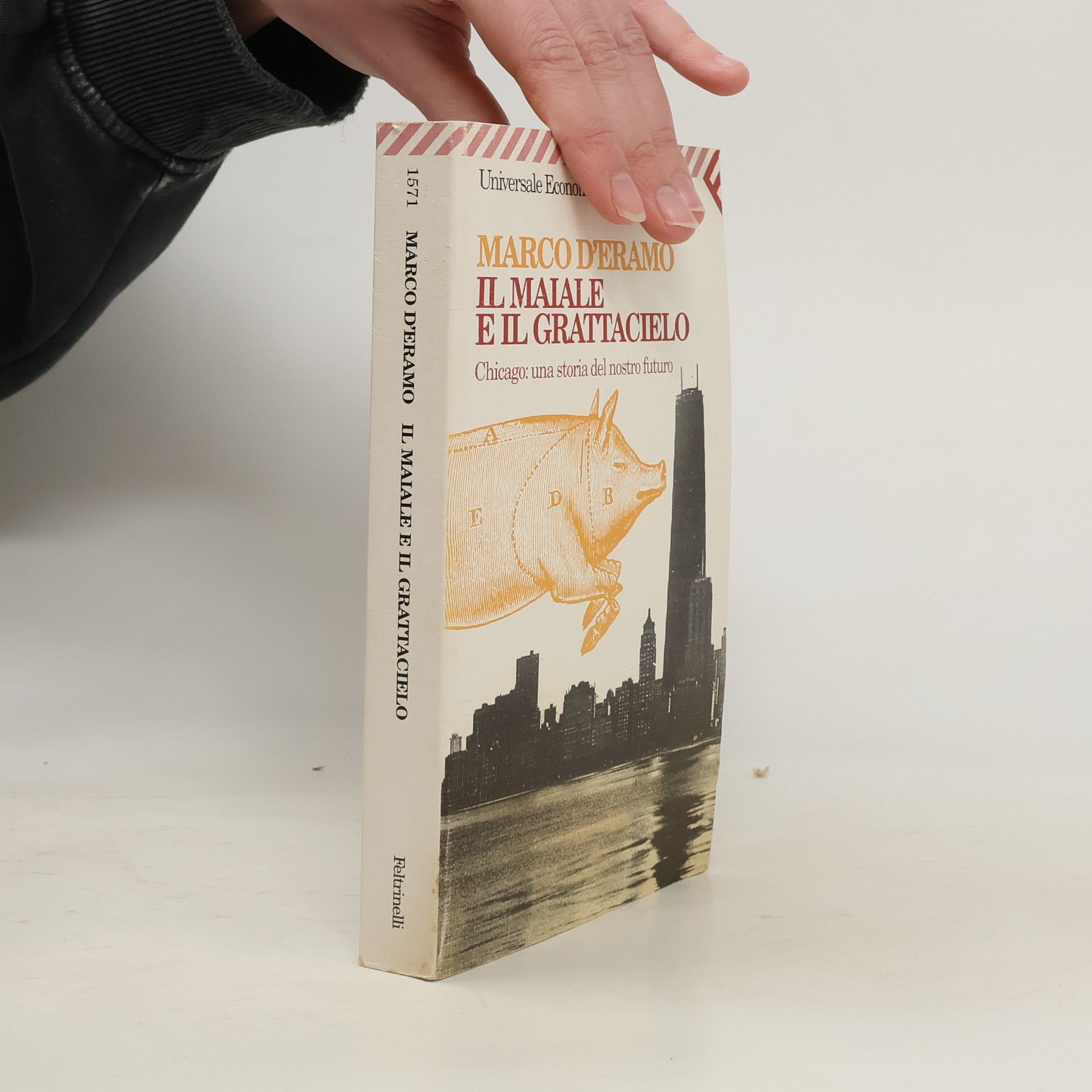 Marco DEramo Il maiale e il grattacielo