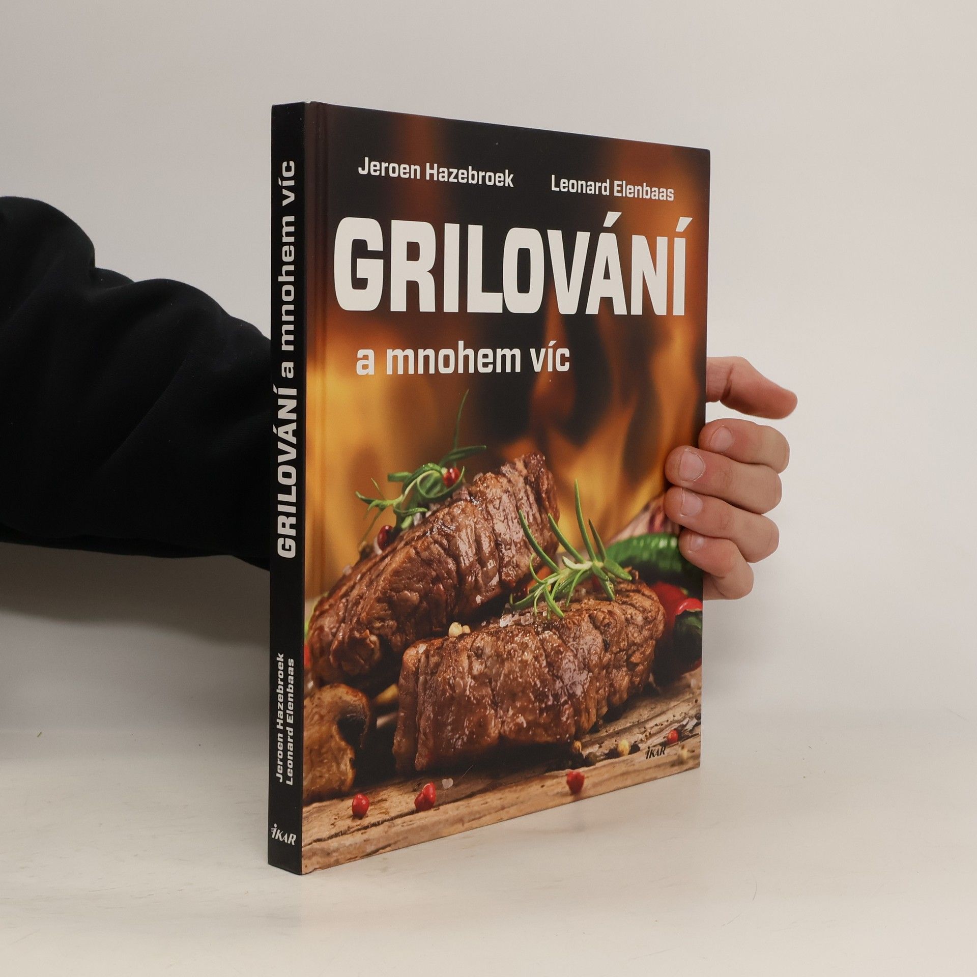 Grilování a mnohem víc