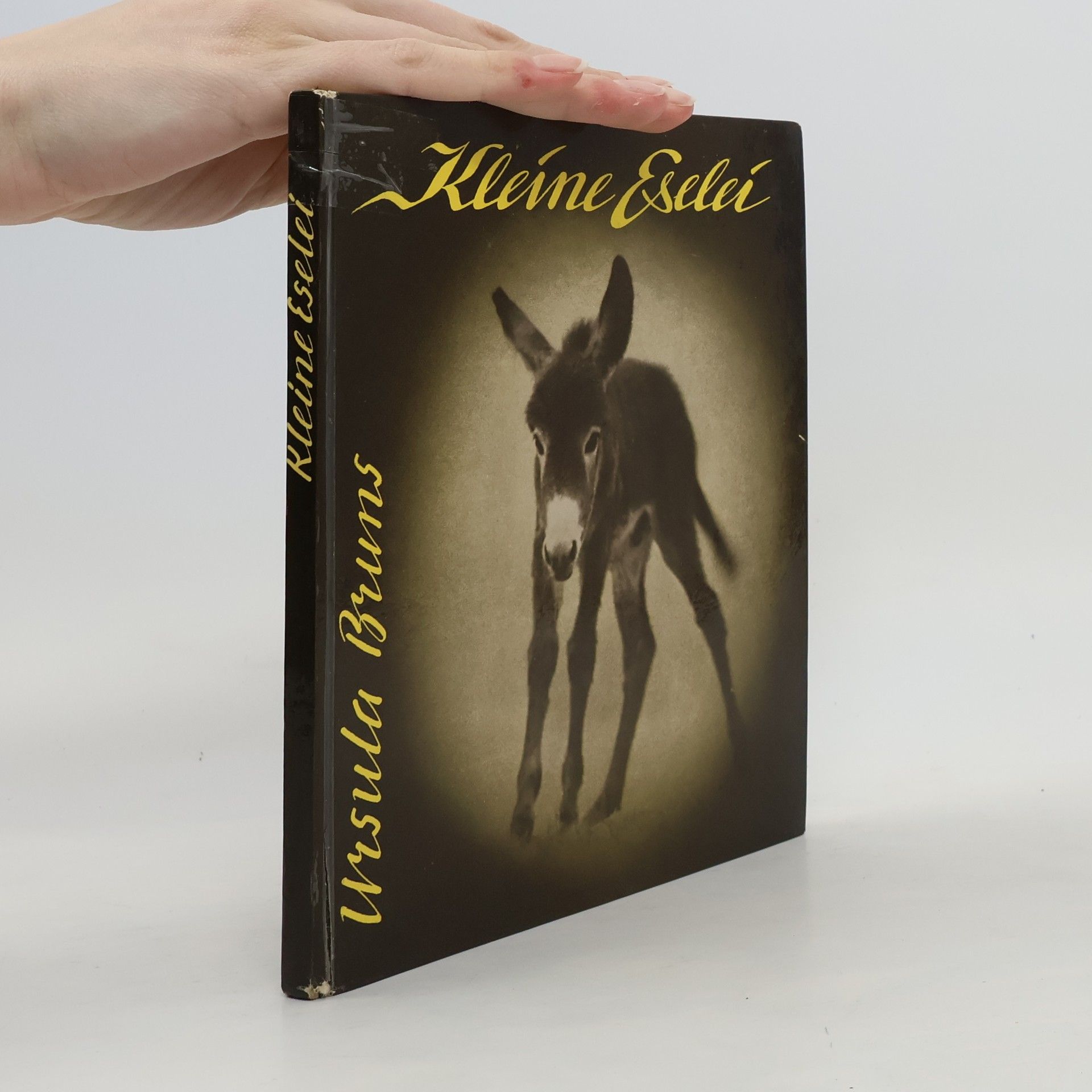Ursula Bruns Kleine Eselei