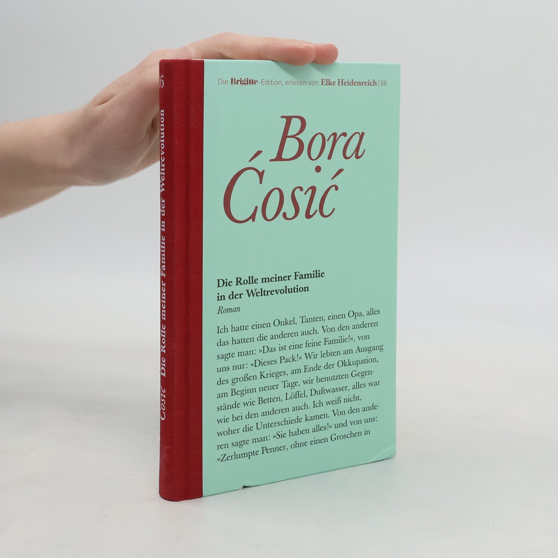 Bora Ćosić Die Rolle meiner Familie in der Weltrevolution