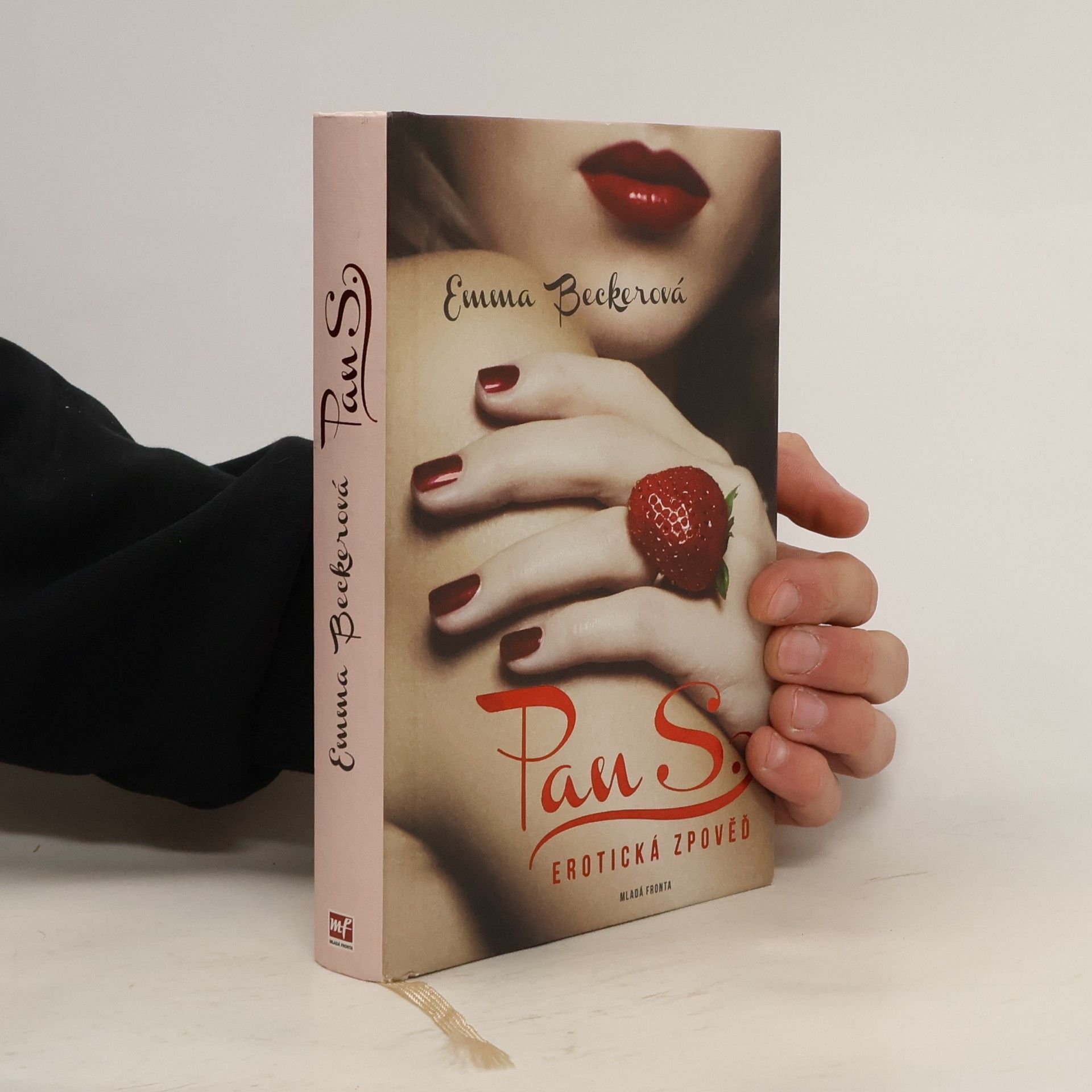 Pan S. : erotická zpověď