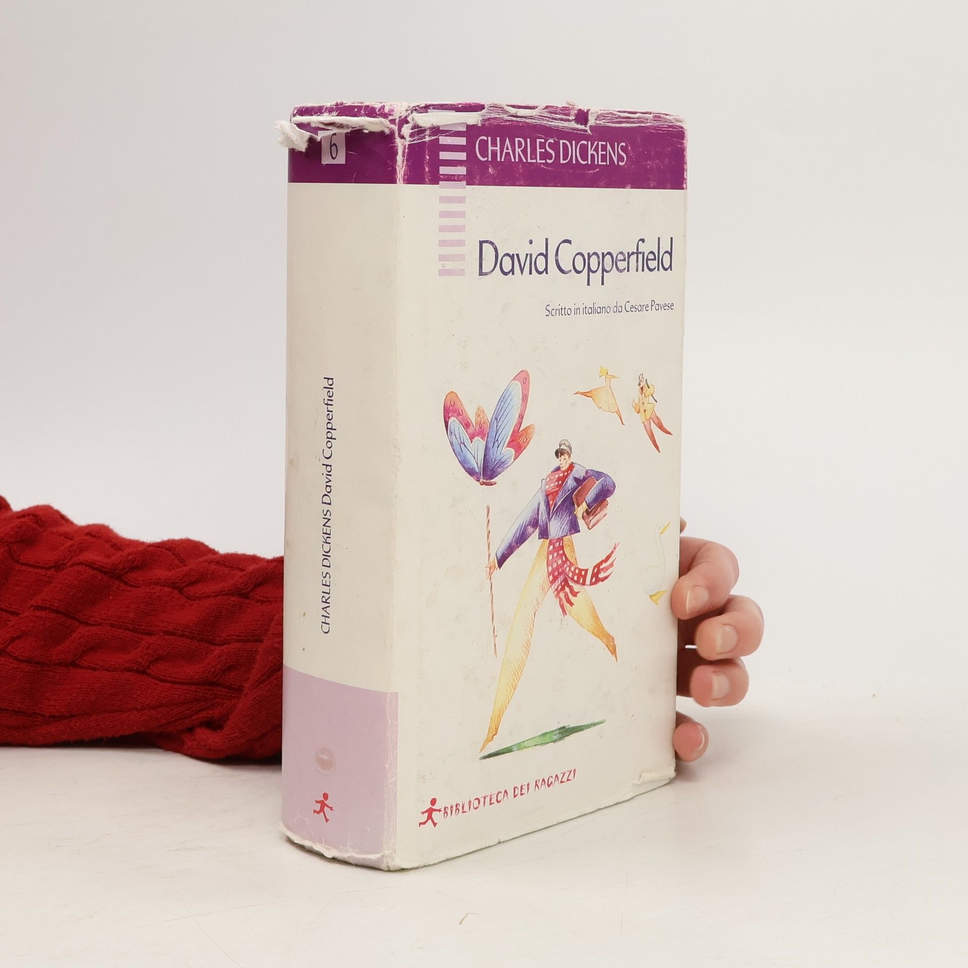 Charles Dickens Biblioteca dei Ragazzi - 6: David Copperfield