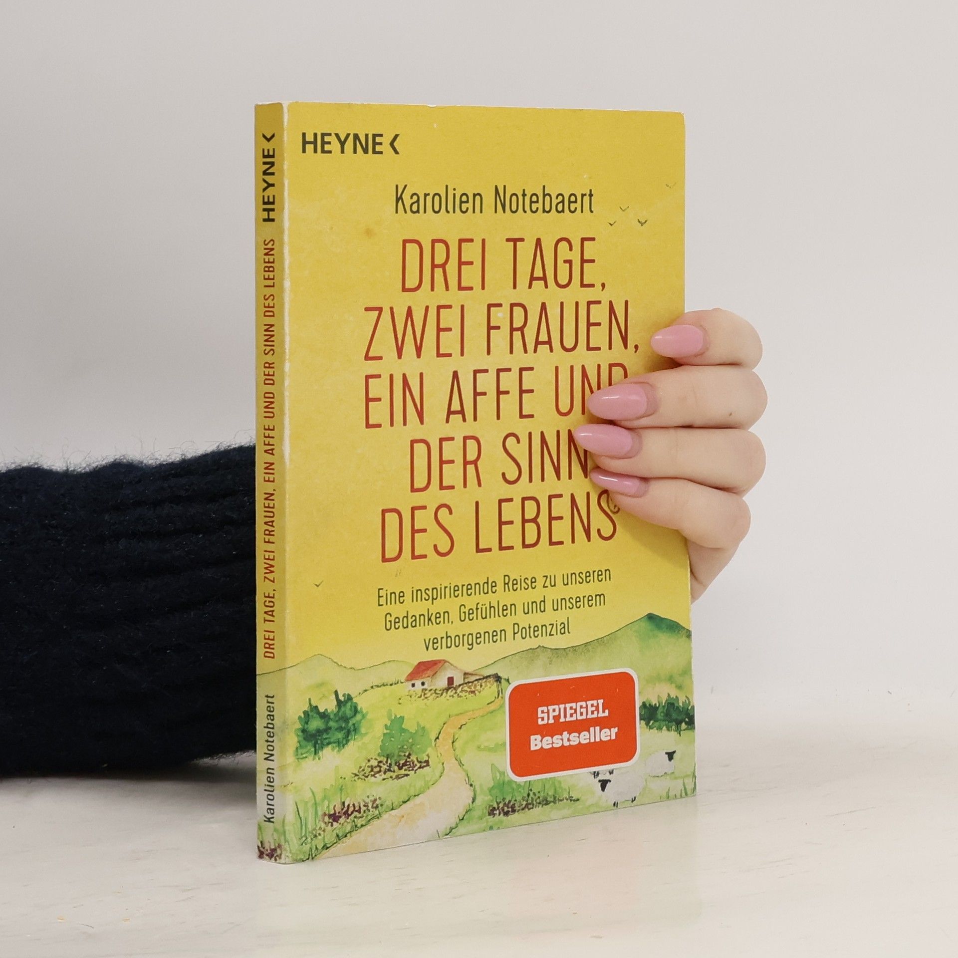 Karolien Notebaert Drei Tage, zwei Frauen, ein Affe und der Sinn des Lebens