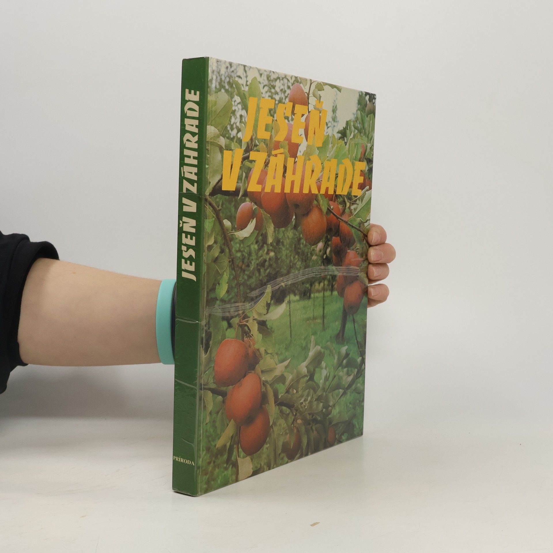 Collectif d'auteurs Jeseň v záhrade