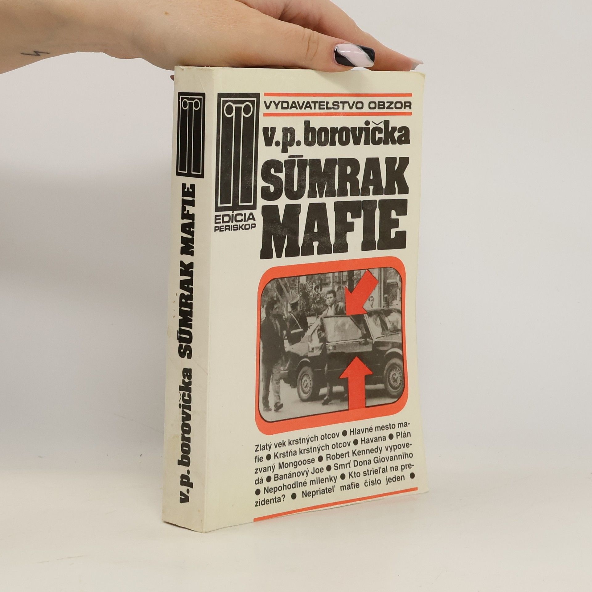 Václav Pavel Borovička Súmrak mafie