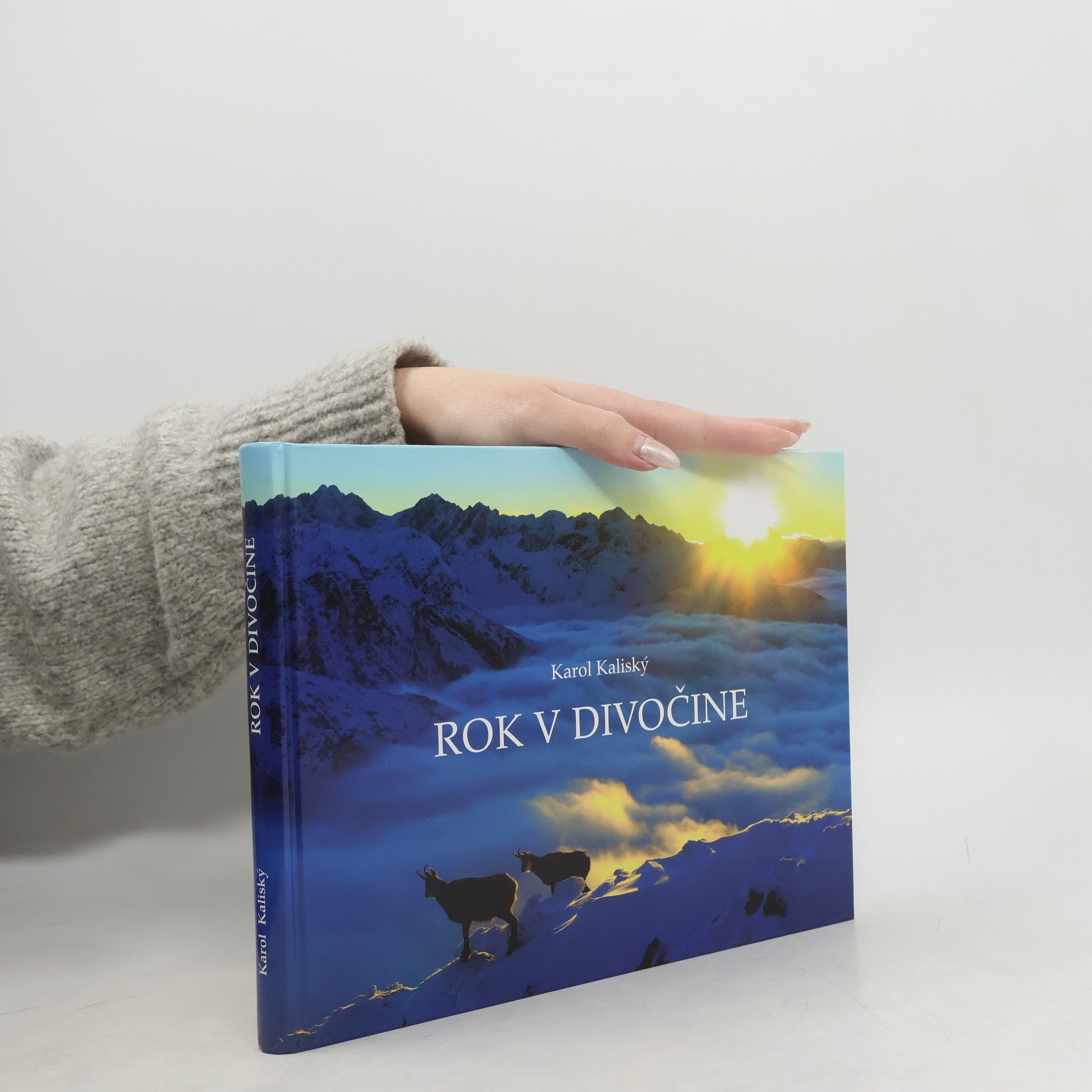 Karol Kaliský Rok v divočine