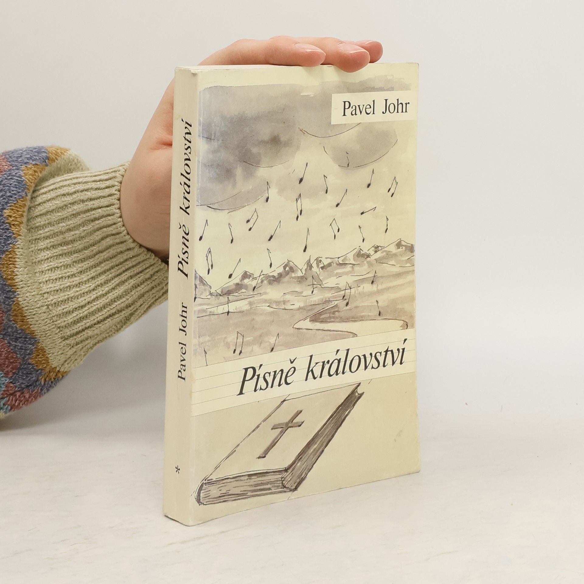Pavel Johr Písně království