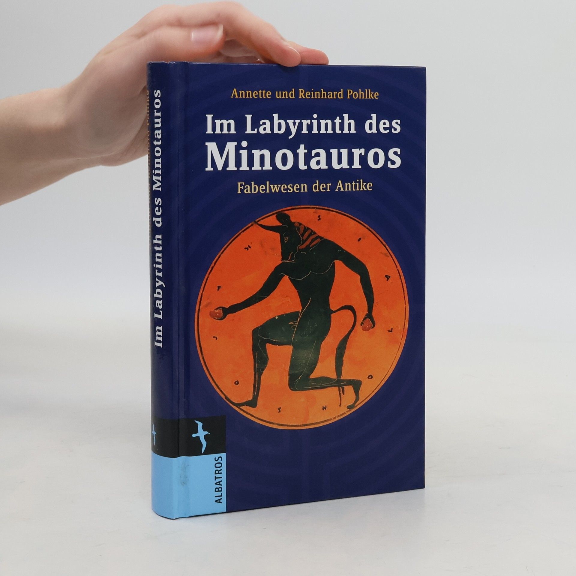 Annette Pohlke Im Labyrinth des Minotauros