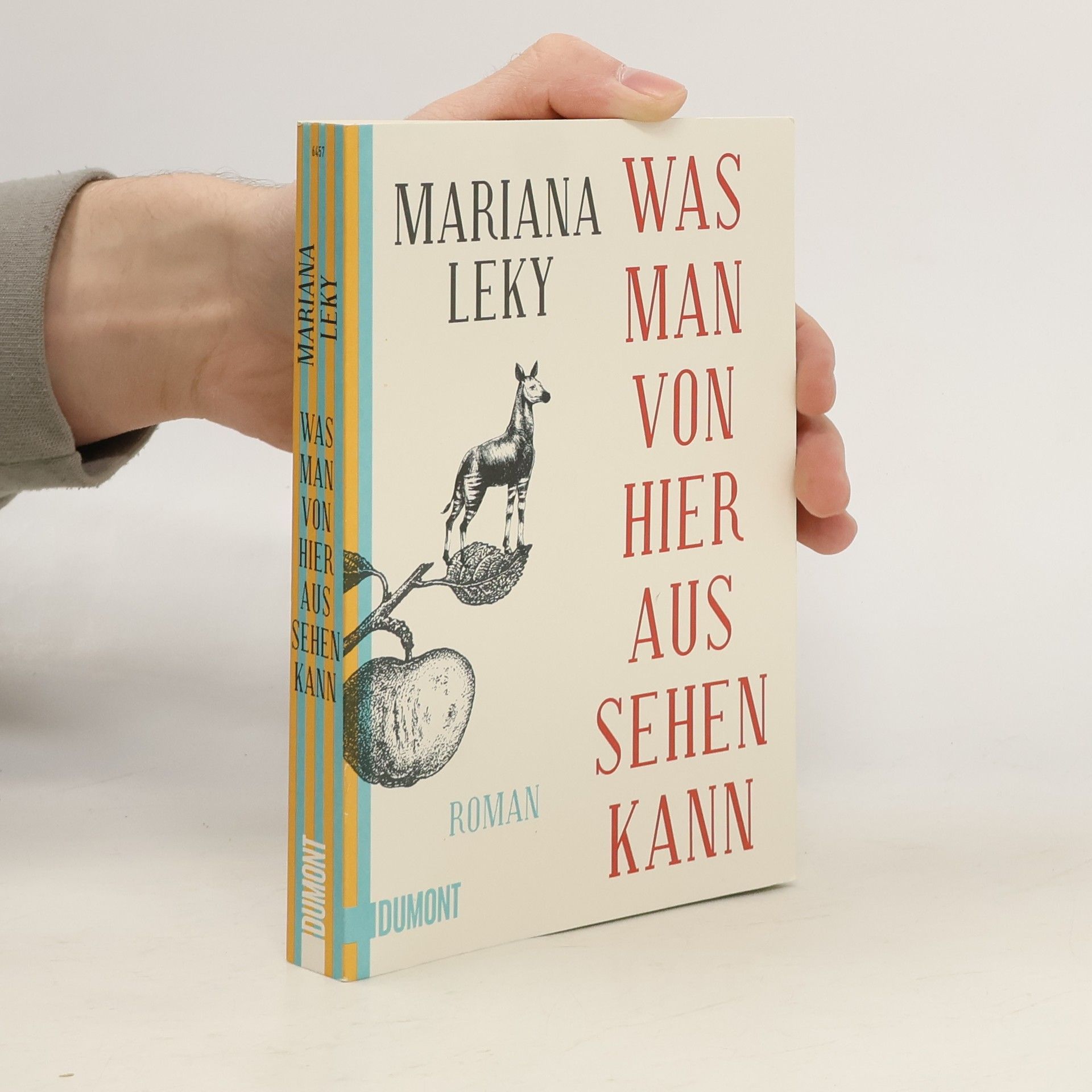 Mariana Leky Was man von hier aus sehen kann