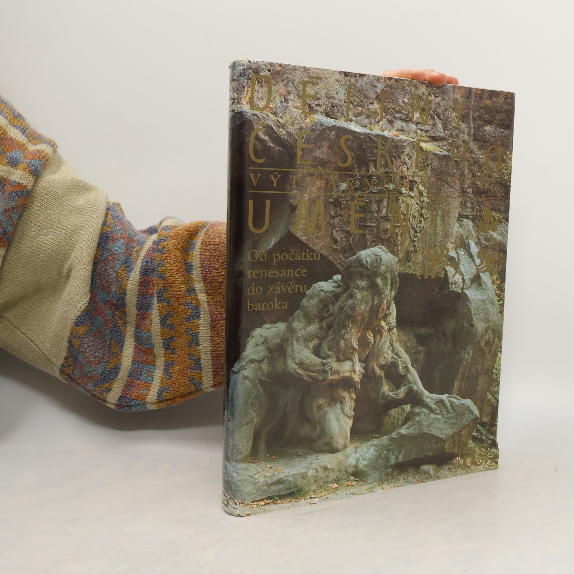 Kolektiv autorů Dějiny českého výtvarného umění II/1