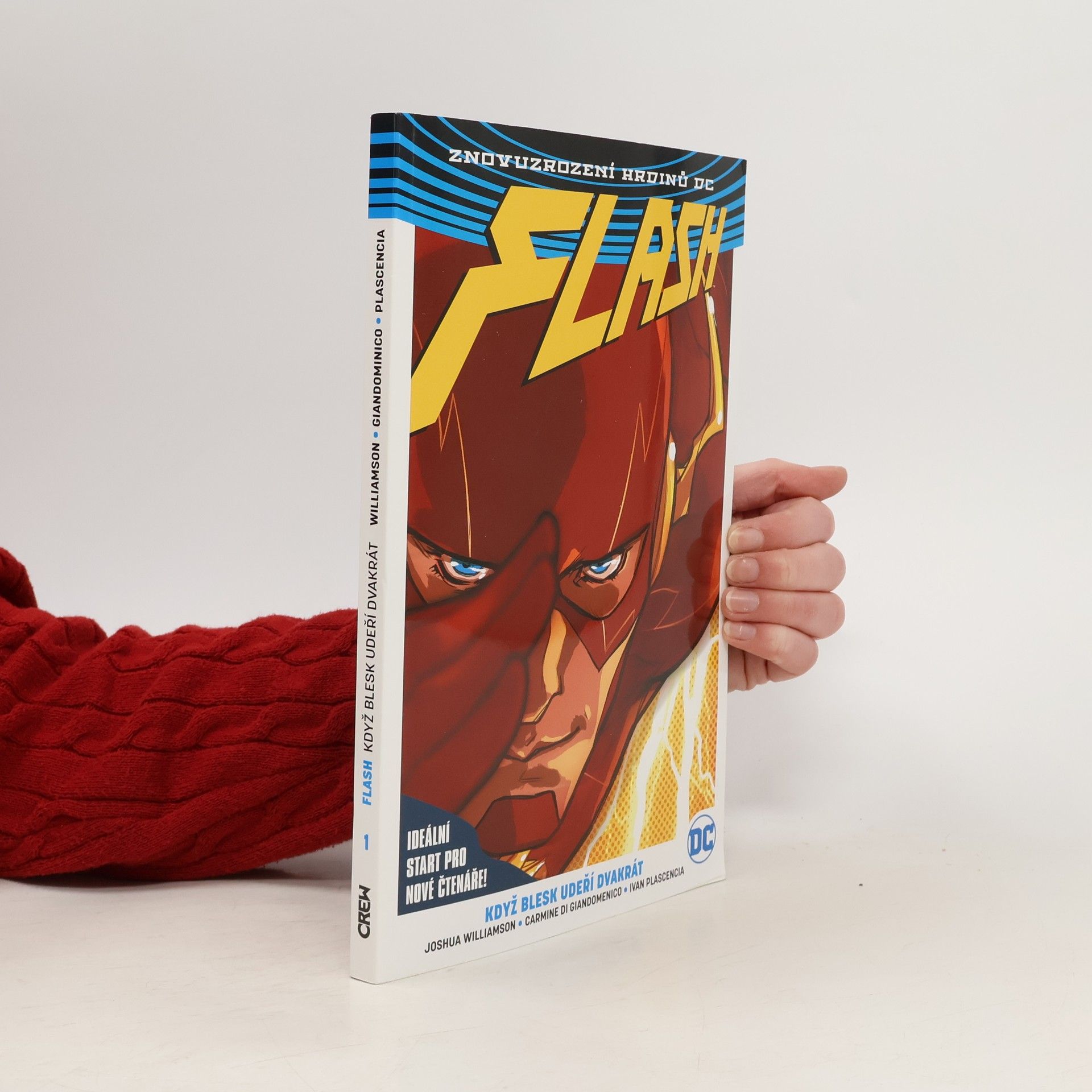 Flash. Kniha první: Když blesk udeří dvakrát