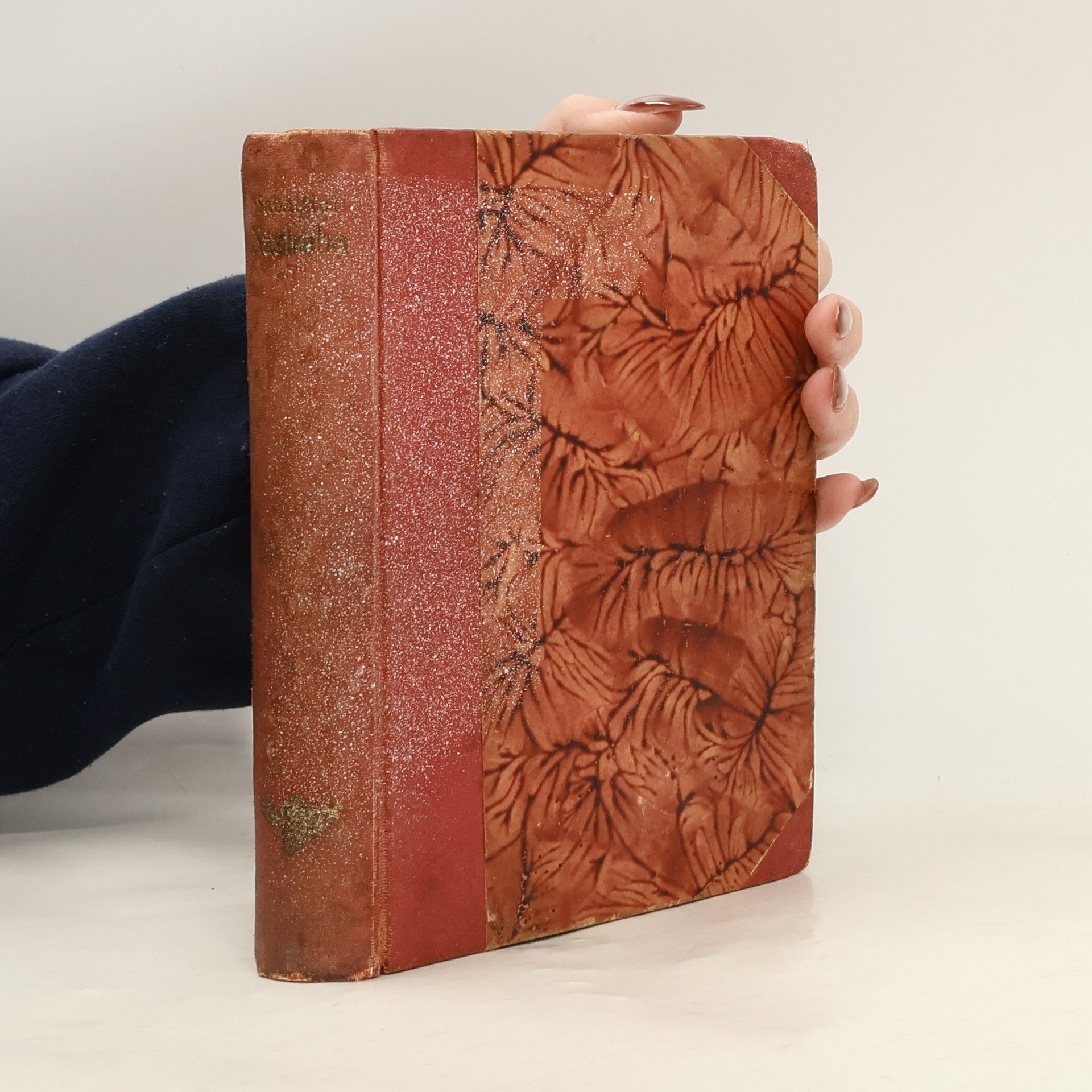 Rafael Sabatini Nástraha 1