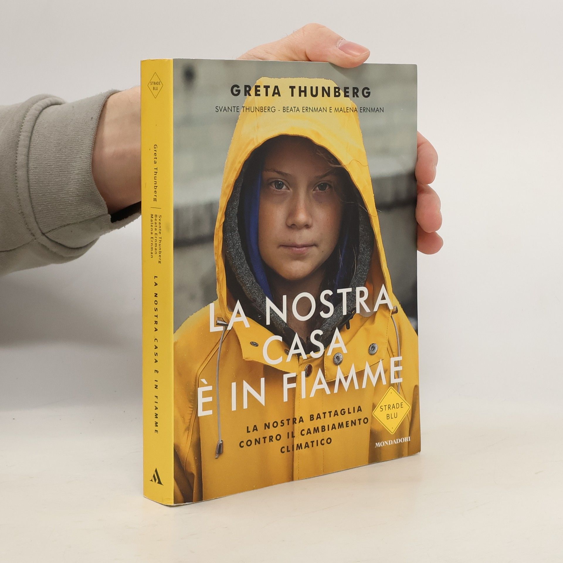 Greta Thunberg Strade Blu: La nostra casa è in fiamme