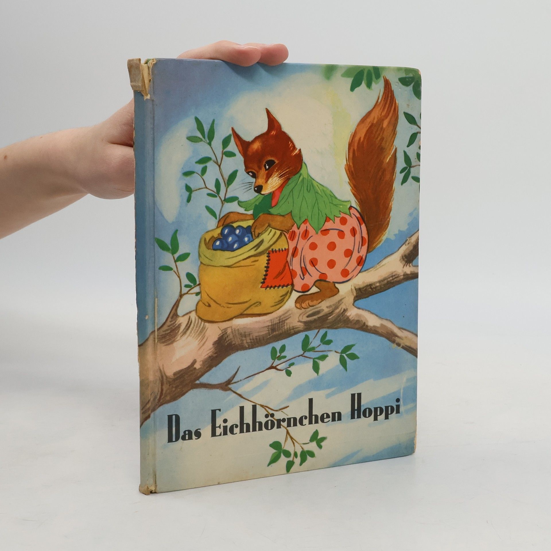 Das Eichhörnchen Hoppi