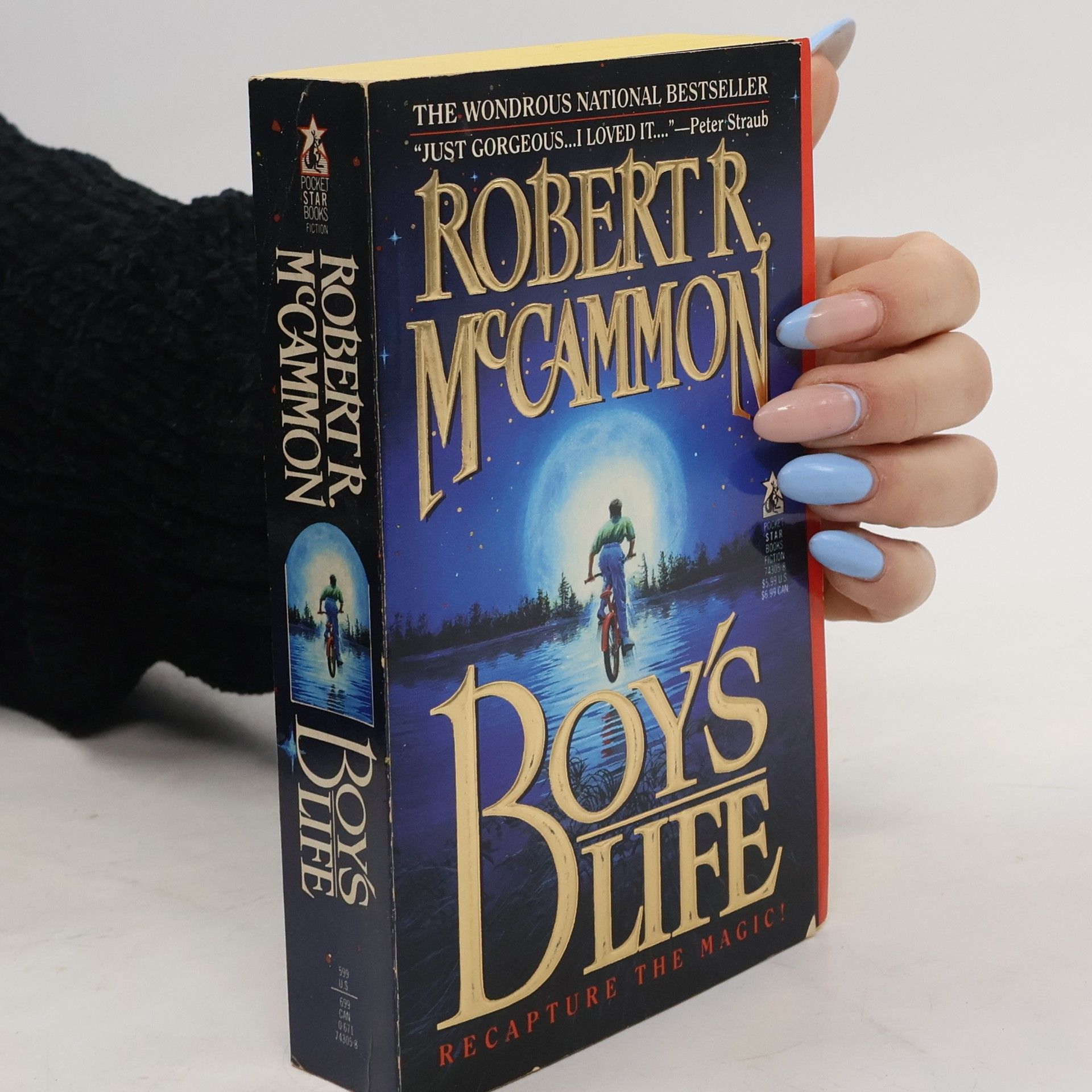 Robert R. McCammon Boy's Life