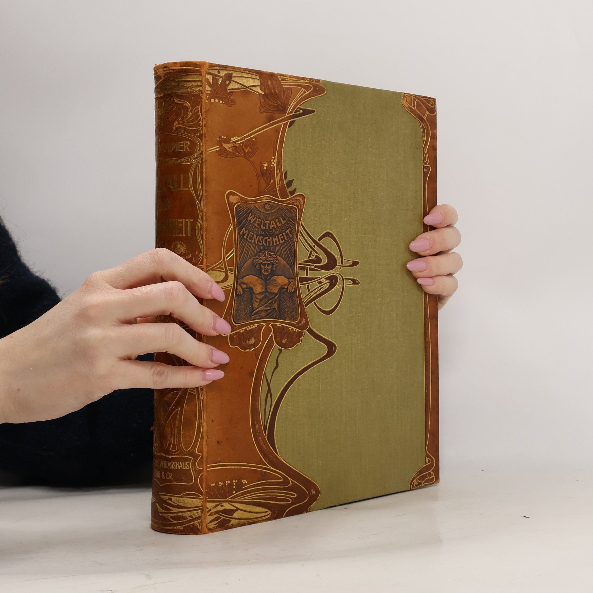 Hans Kraemer Weltall und Menschheit III