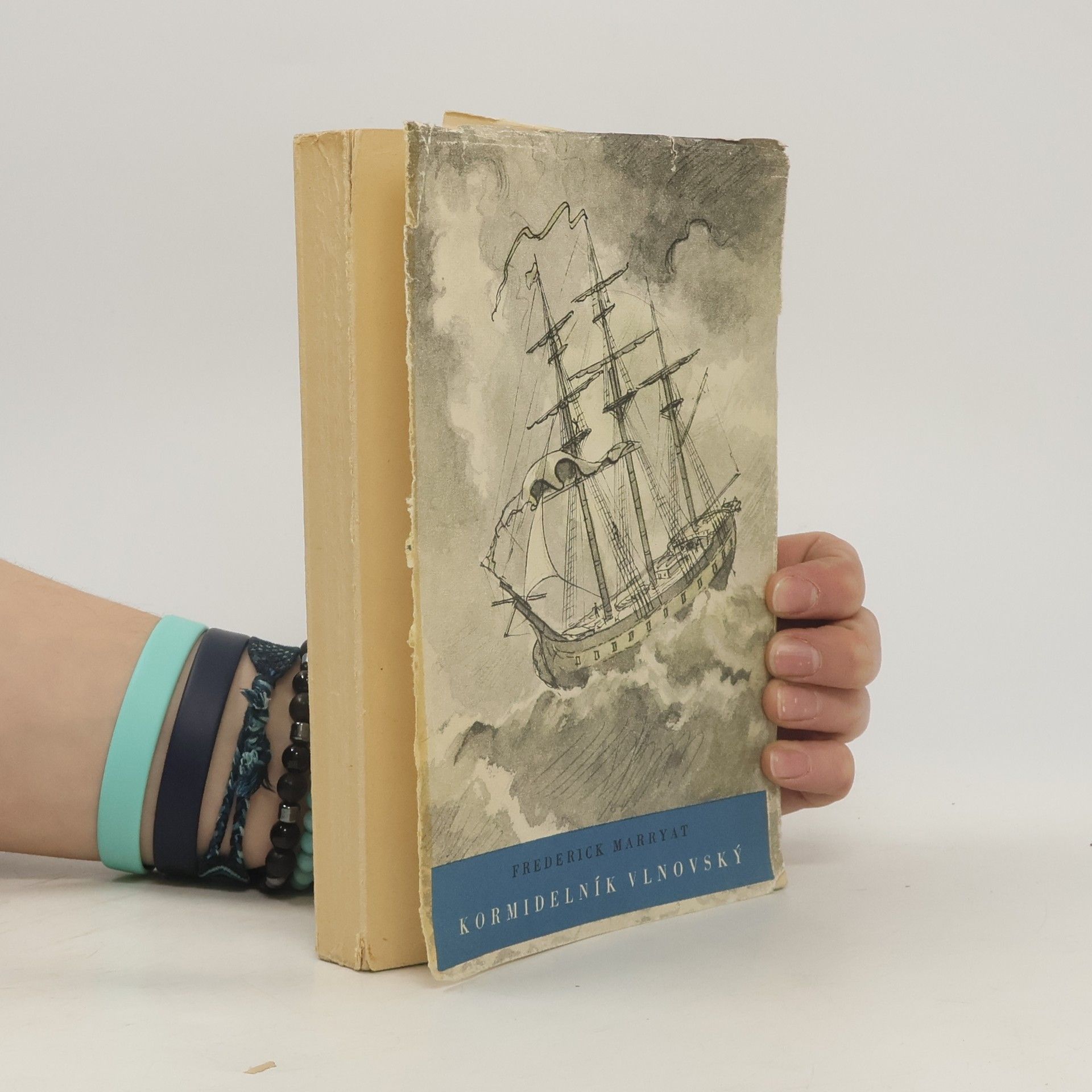 Kormidelník Vlnovský