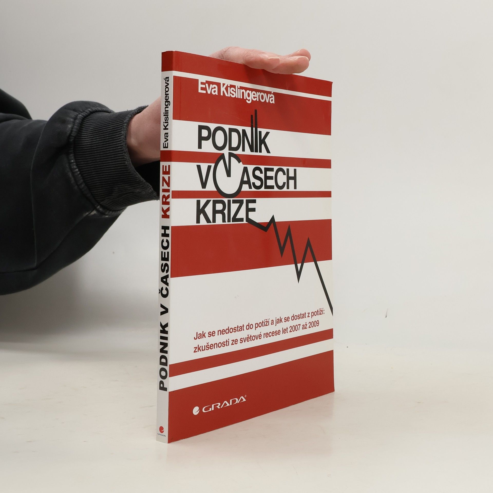 Eva Kislingerová Podnik v časech krize