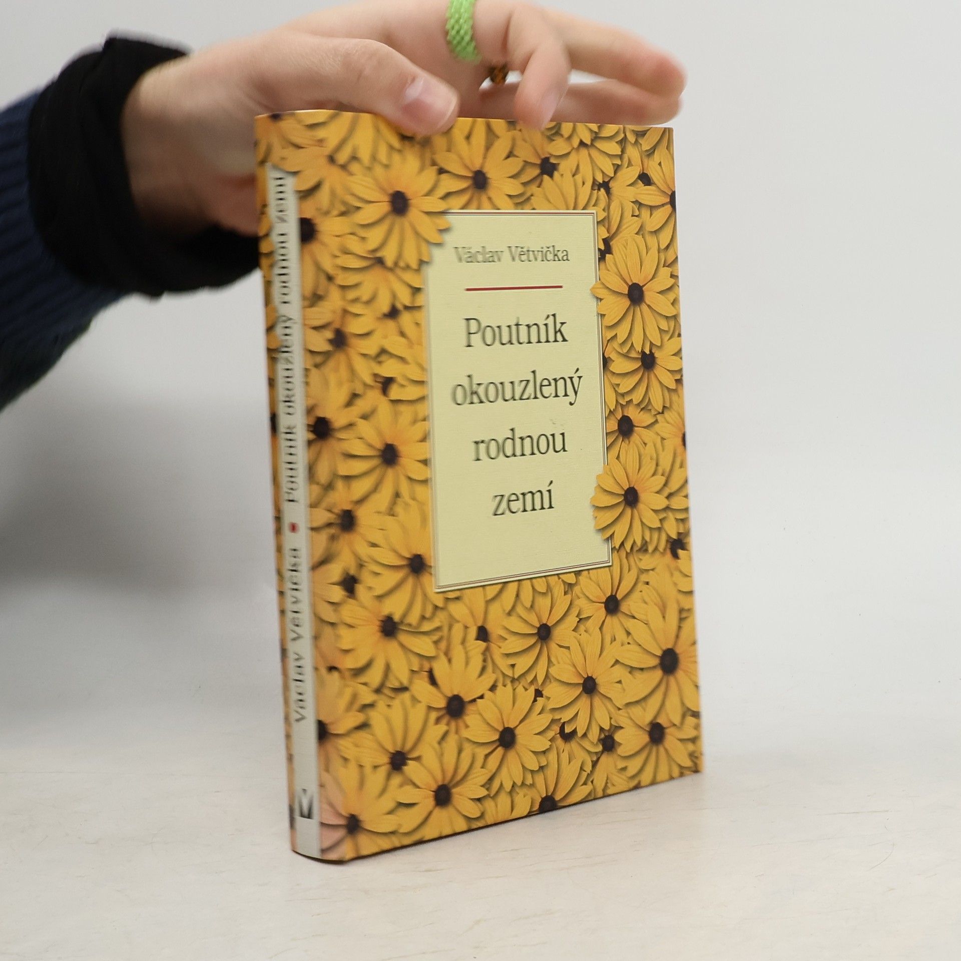 Václav Větvička Poutník okouzlený rodnou zemí