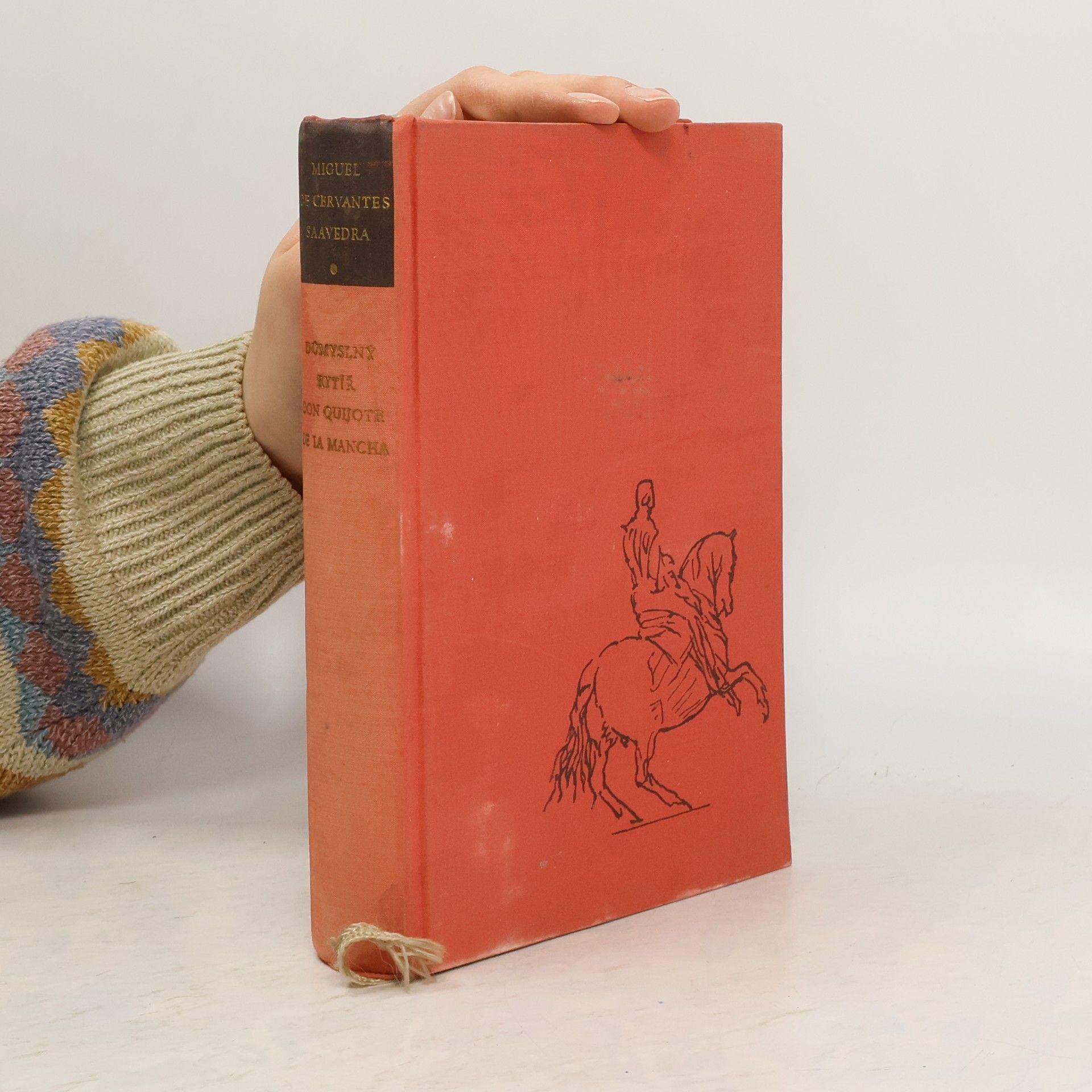 Důmyslný rytíř Don Quijote de la Mancha