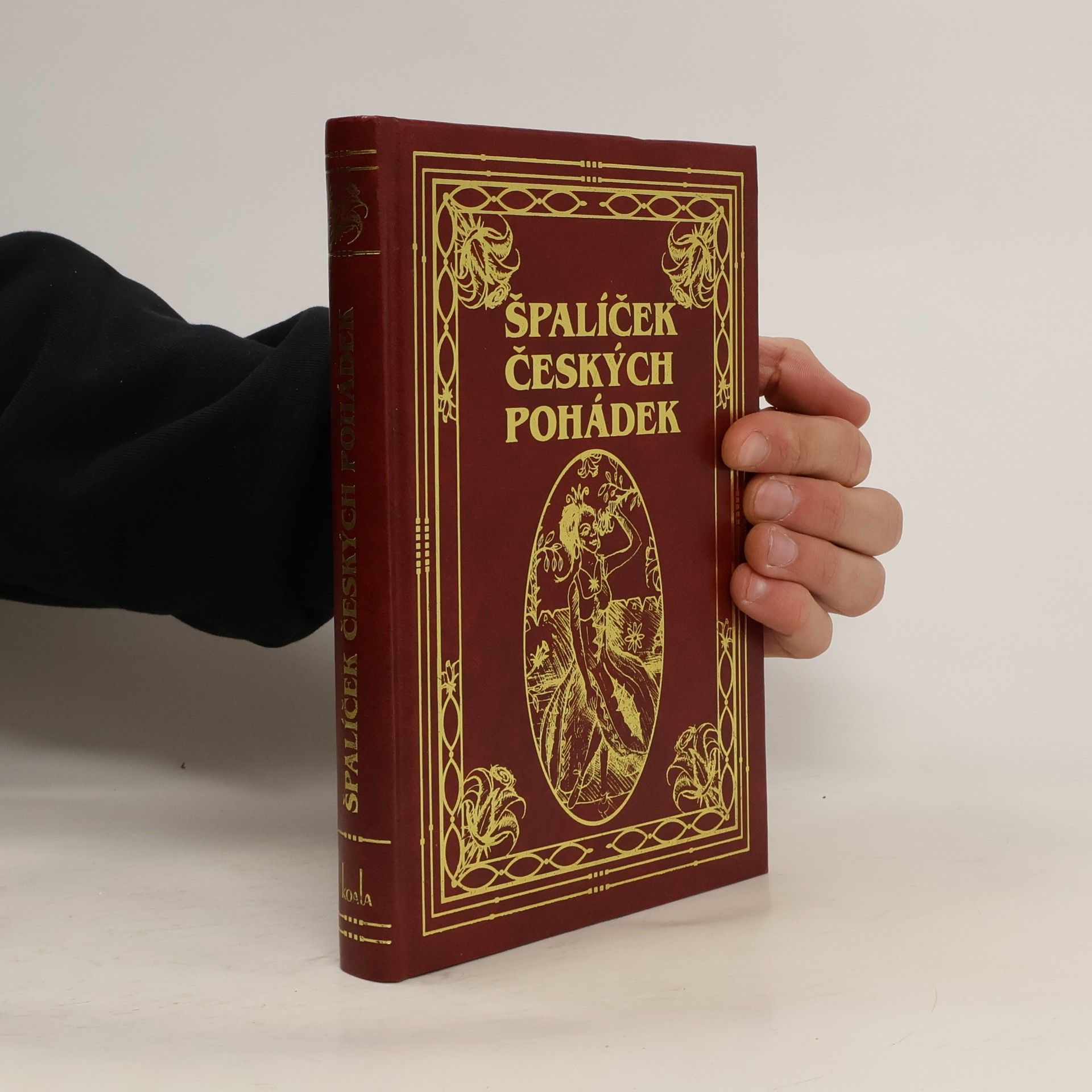 Autorenkollektiv Špalíček českých pohádek