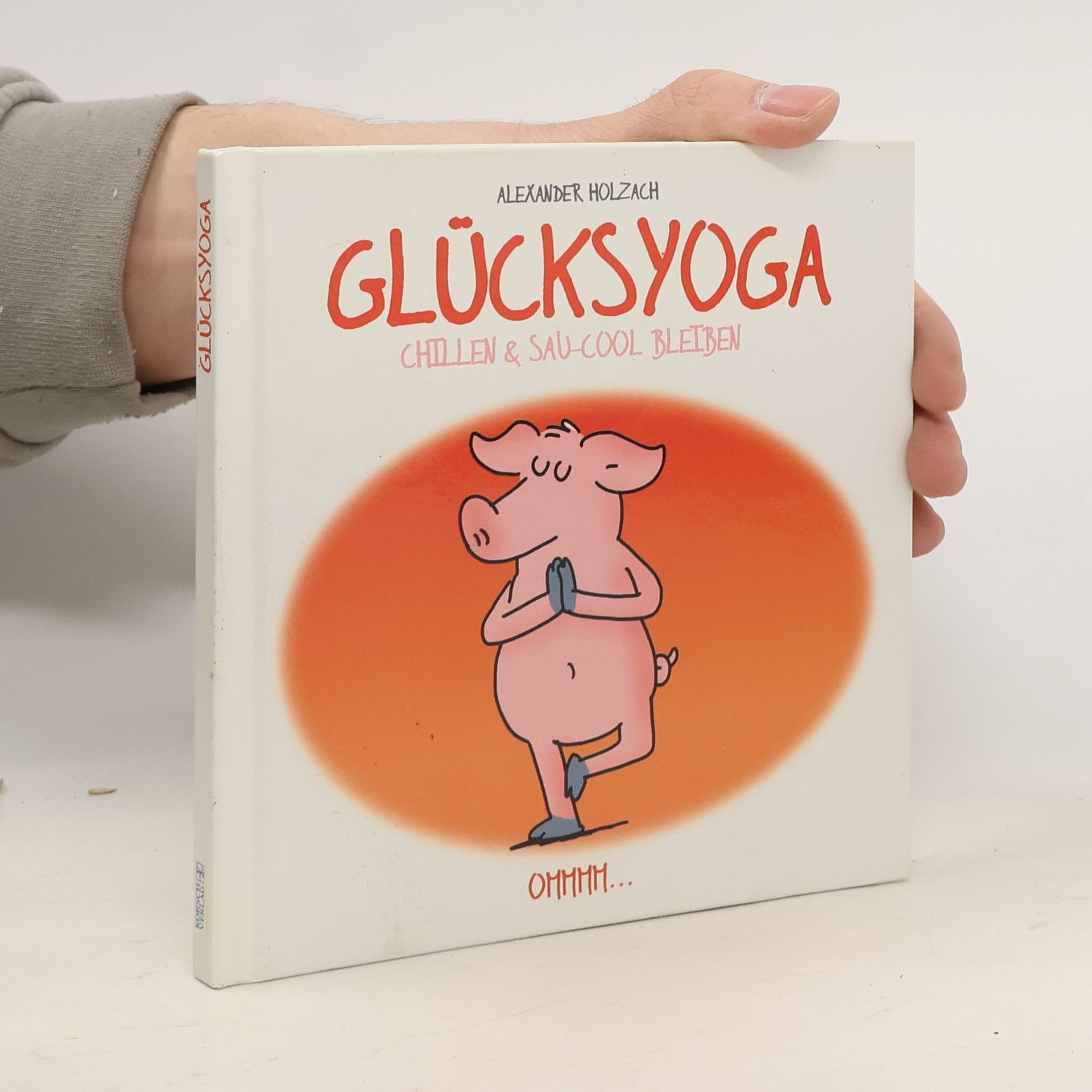 Alexander Holzach Glücksyoga