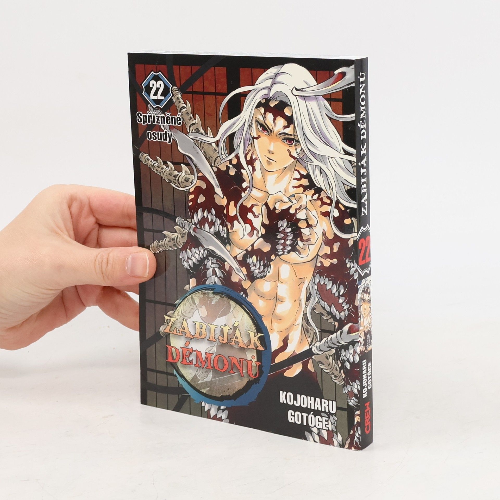 Zabiják démonů. 22, Spřízněné osudy