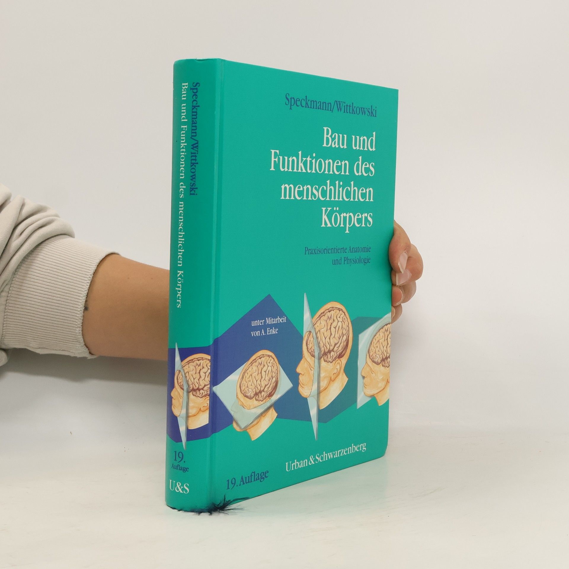 Bau und Funktionen des menschlichen Körpers