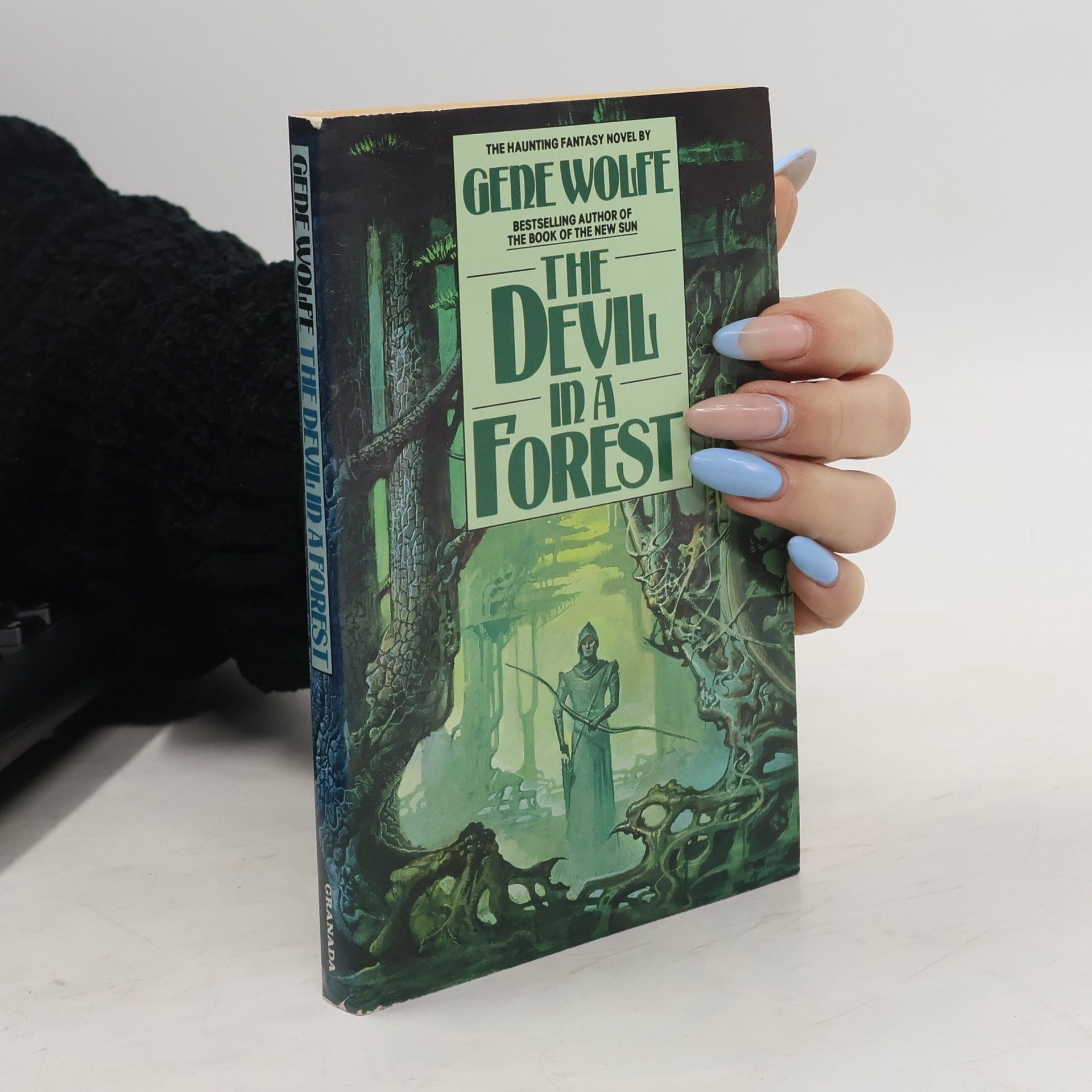 Gene Wolfe The Devil in a Forest