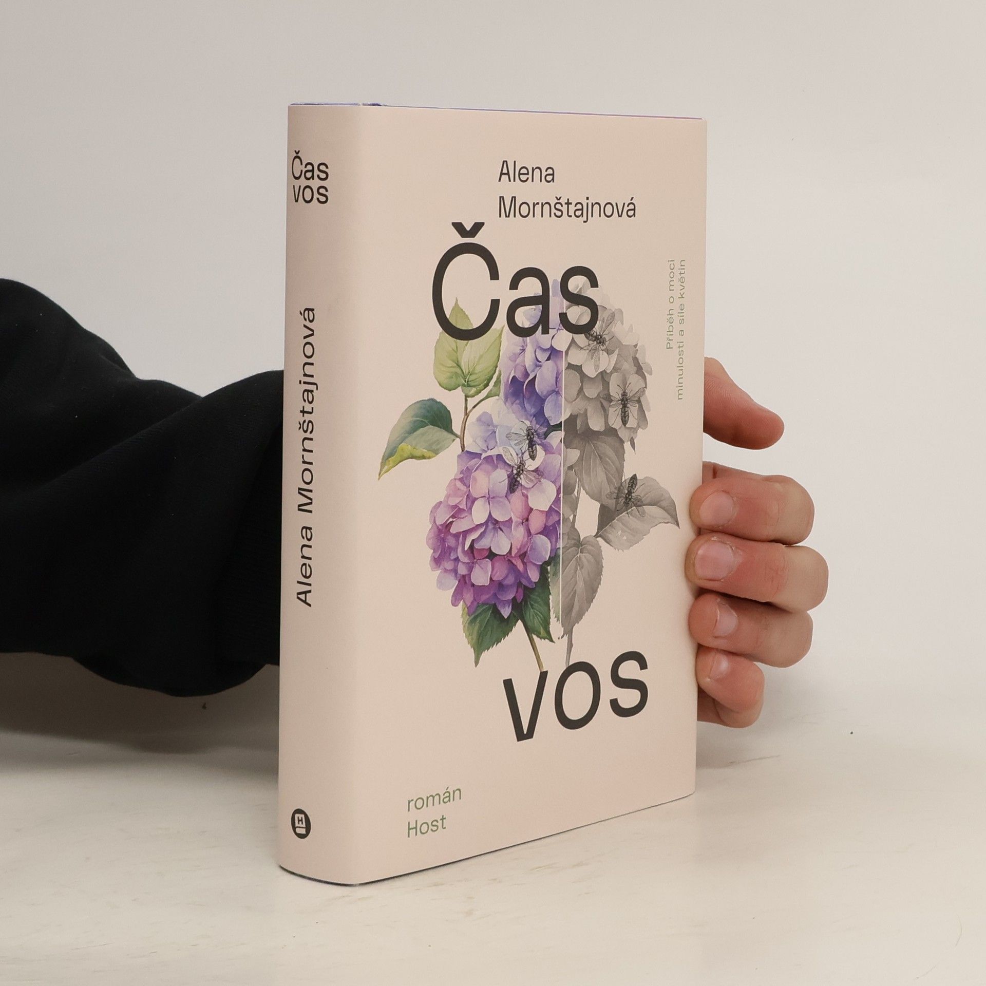 Alena Mornštajnová Čas vos