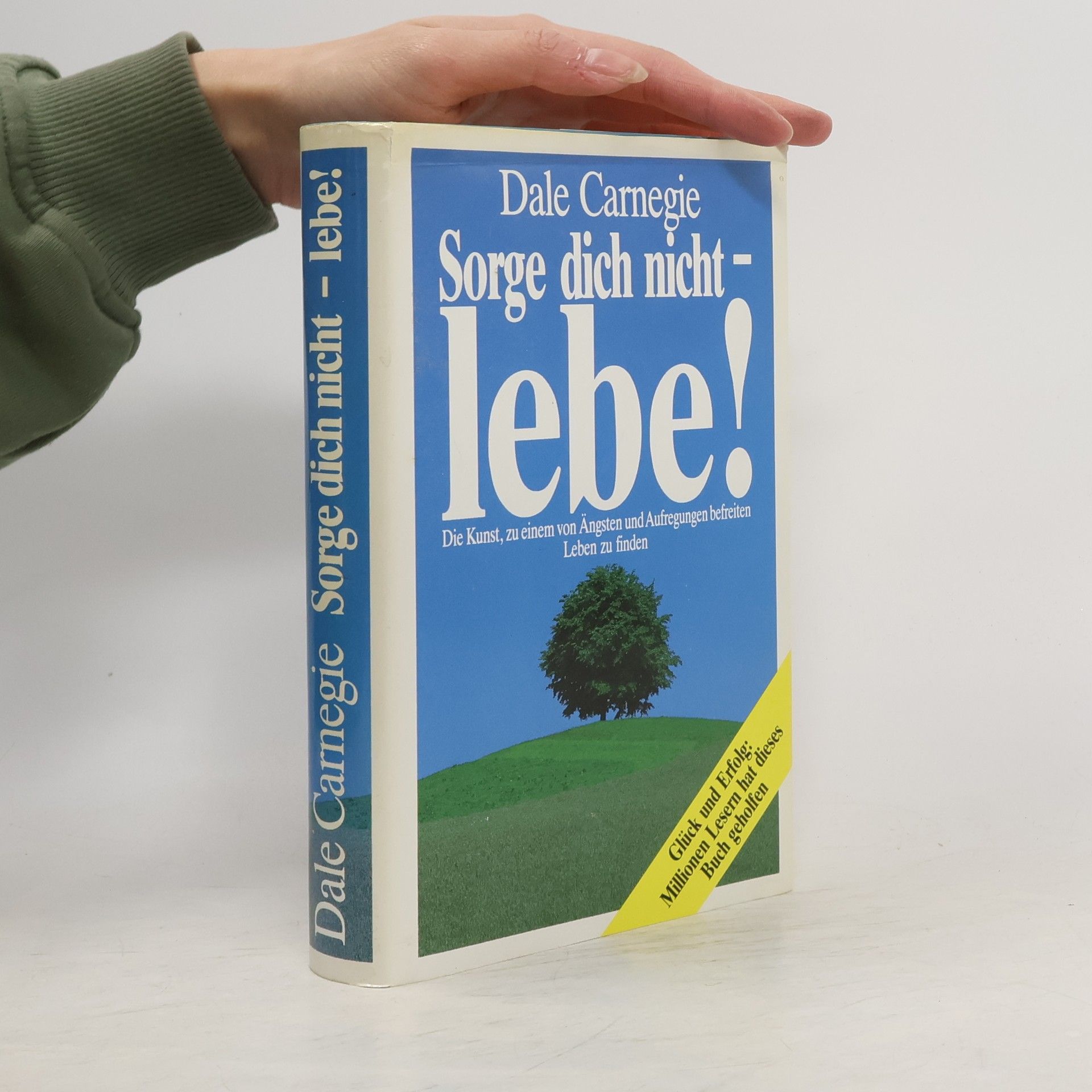 Dale Carnegie Sorge dich nicht - lebe!