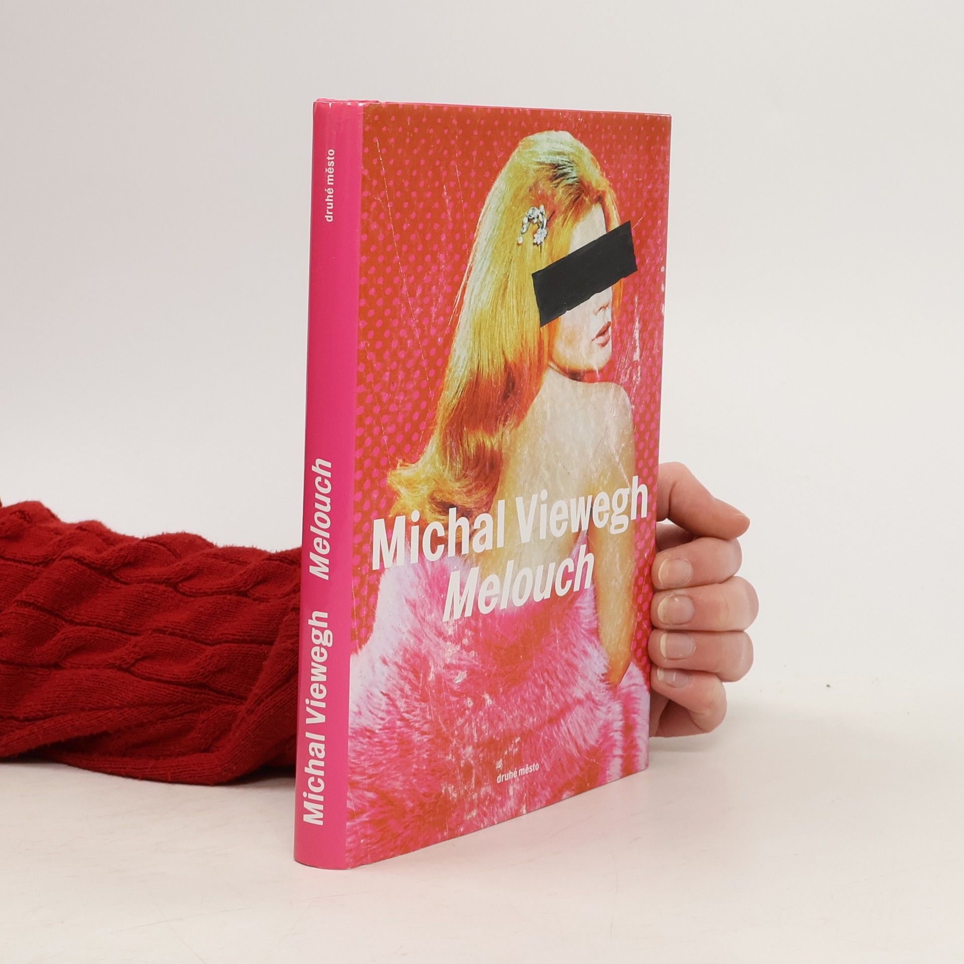 Michal Viewegh Melouch