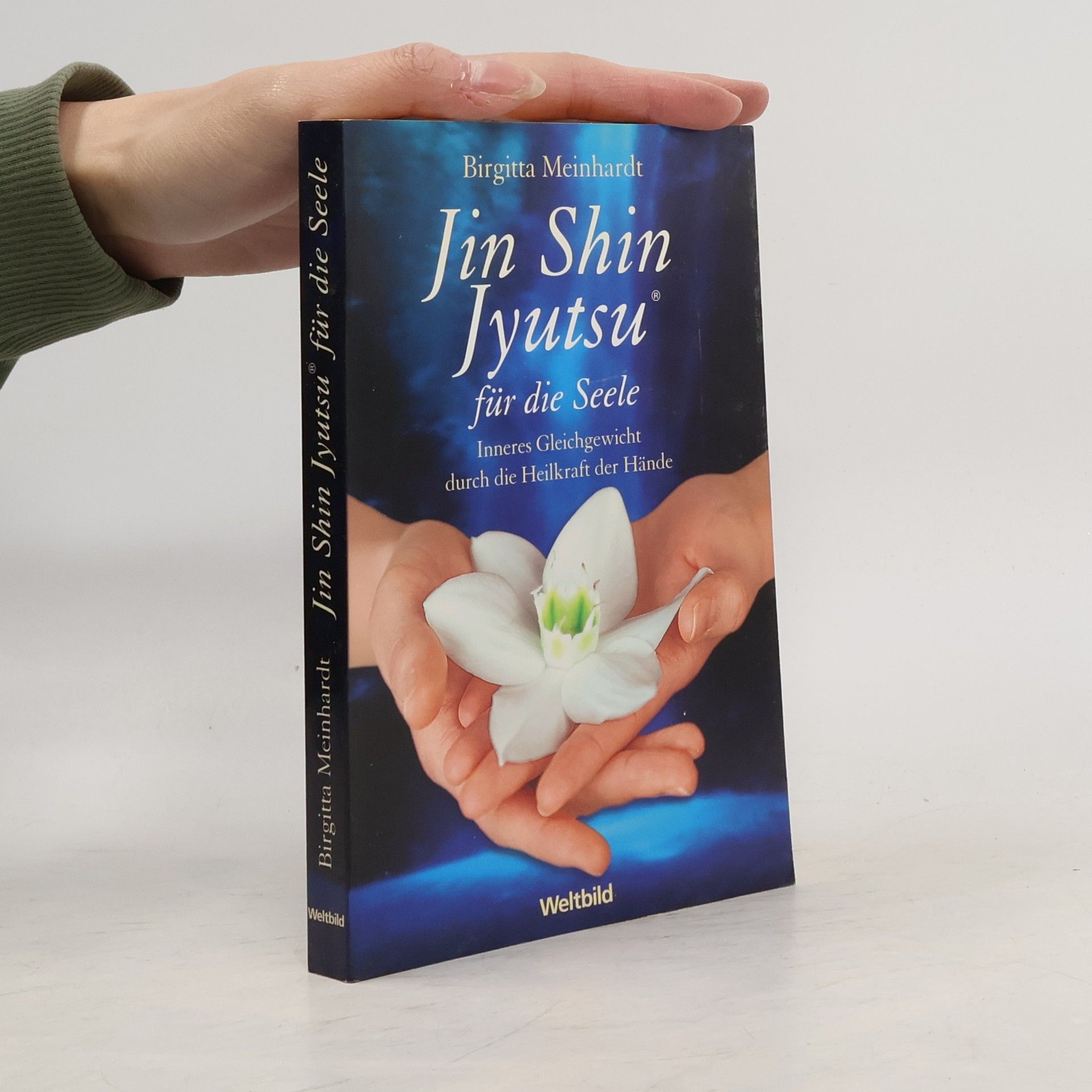 Birgitta Meinhardt Jin-Shin-Jyutsu für die Seele