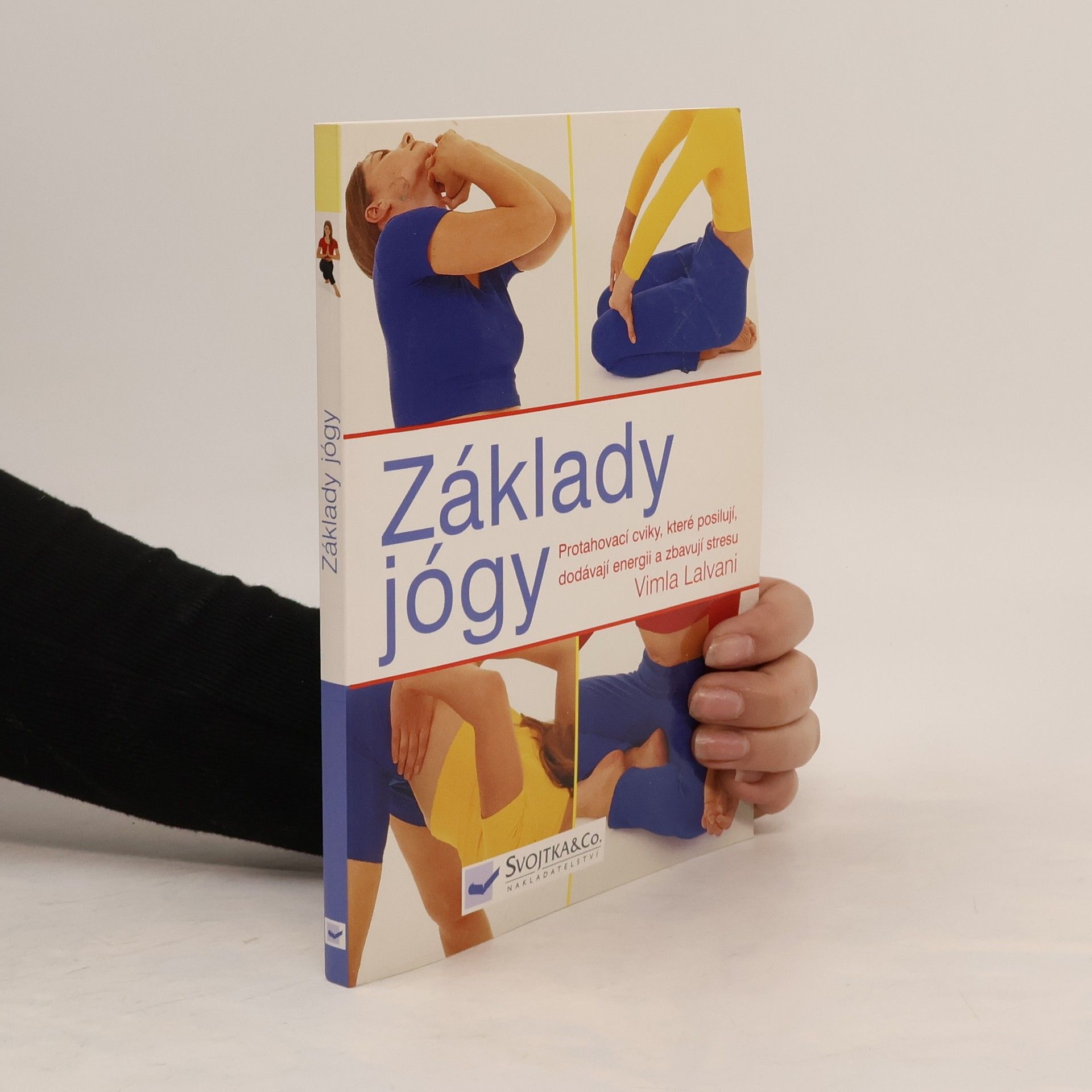 Vimla Lalvani Základy jógy: Protahovací cviky, které posilují, dodávají energii a zbavují stresu