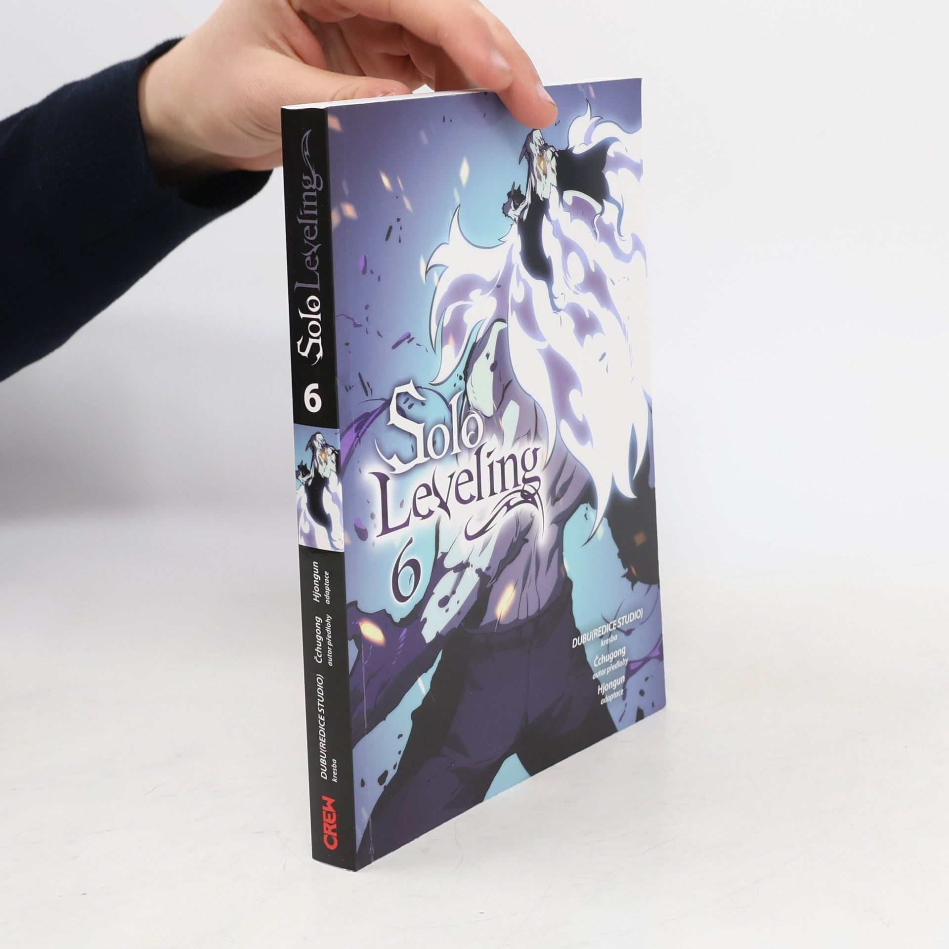 DUBUR(REDICE STUDIO) Solo Leveling