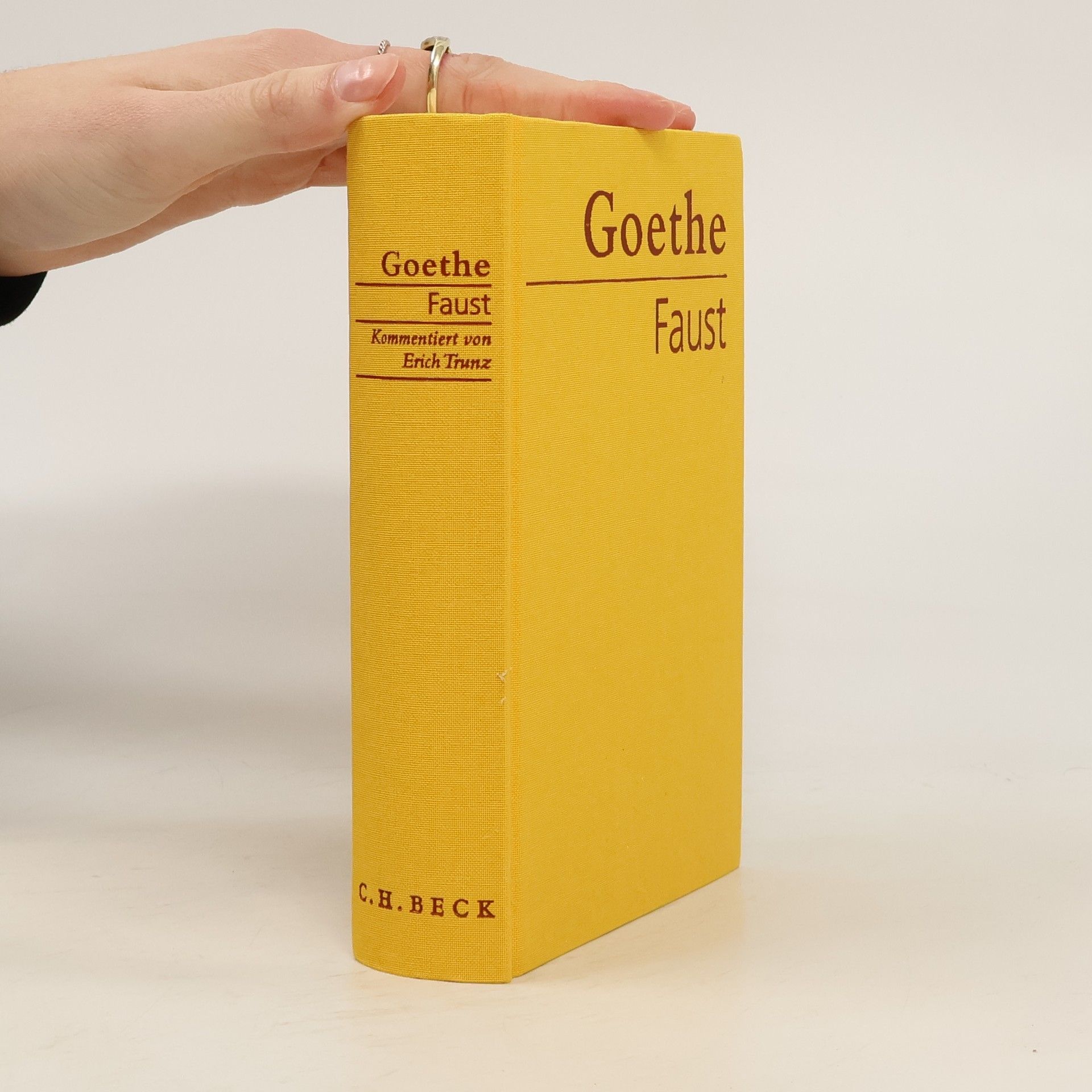 Johann Wolfgang von Goethe Faust