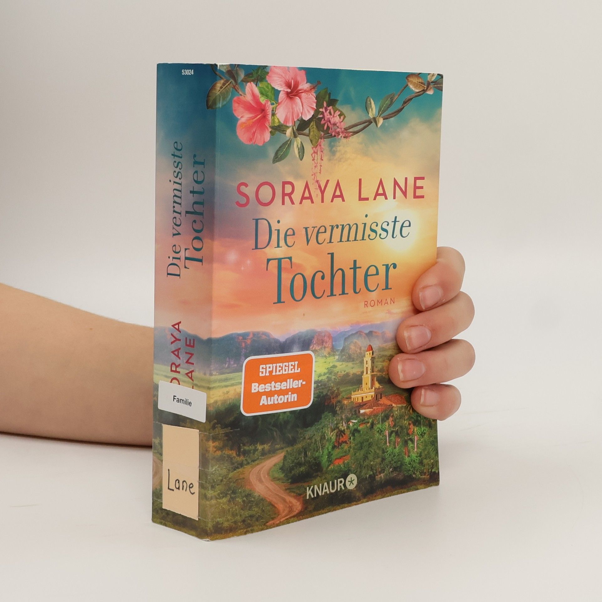 Soraya M. Lane Die vermisste Tochter