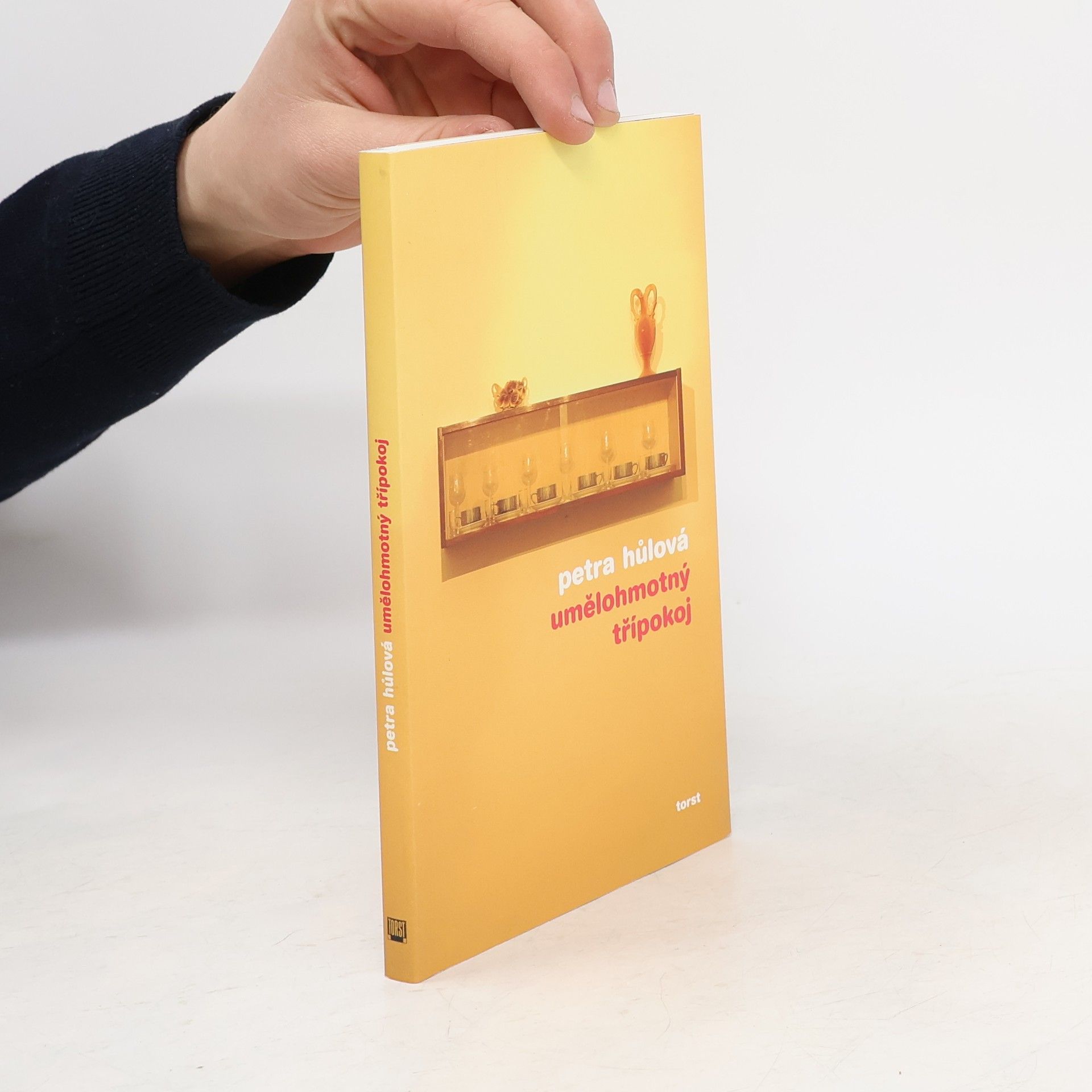Petra Hůlová Umělohmotný třípokoj