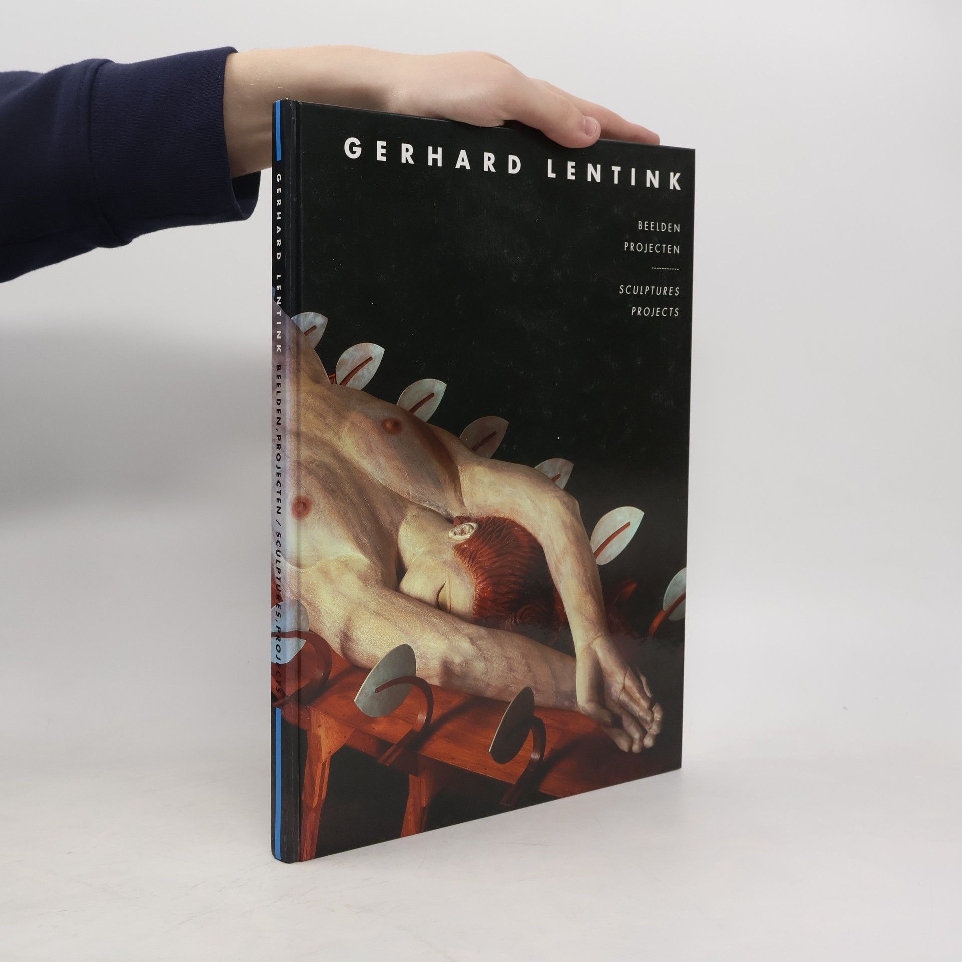 Kolektív autorov Gerhard Lentink. Beelden, projecten