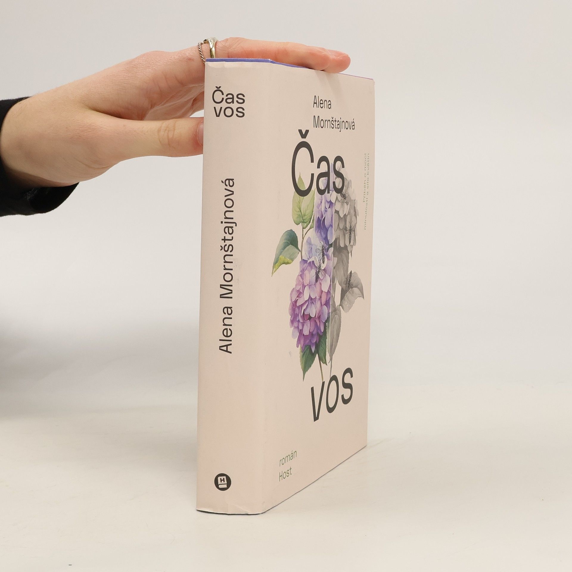 Alena Mornštajnová Čas vos