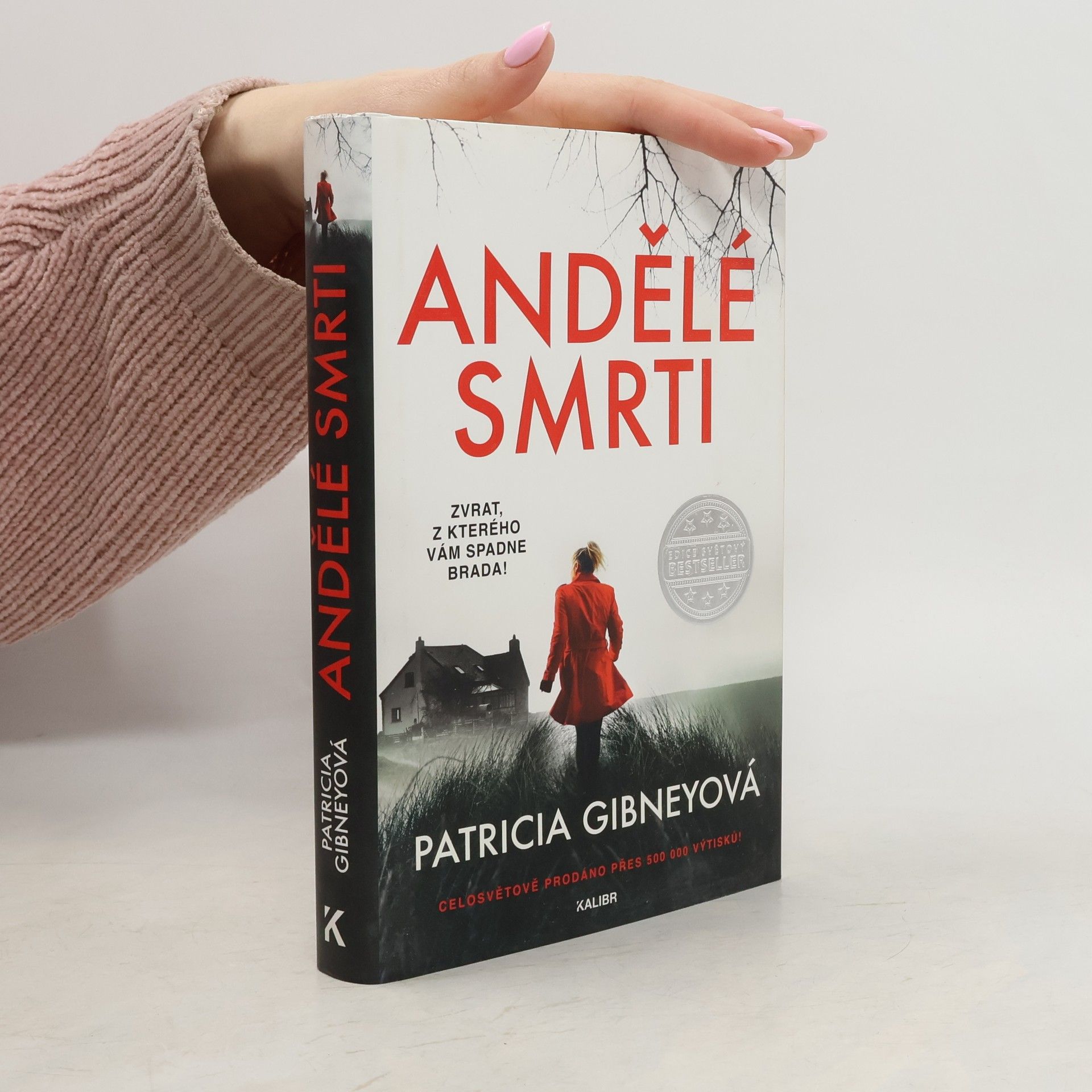 Patricia Gibney Andělé smrti