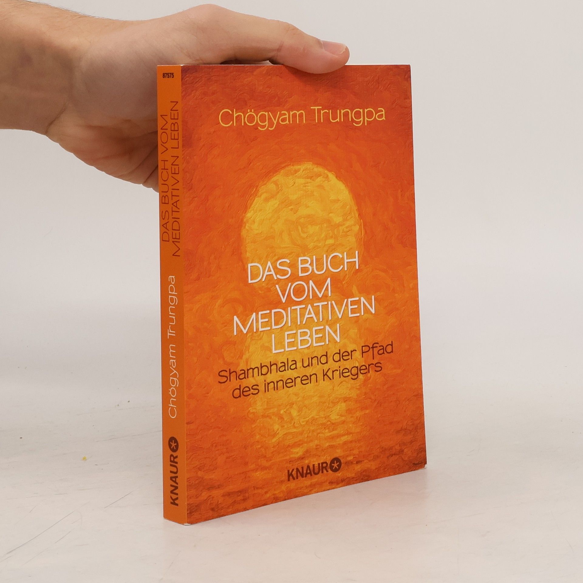 Čhögjam Trungpa Das Buch vom Meditativen Leben. Shambhala und der Pfad des Inneren Kriegers