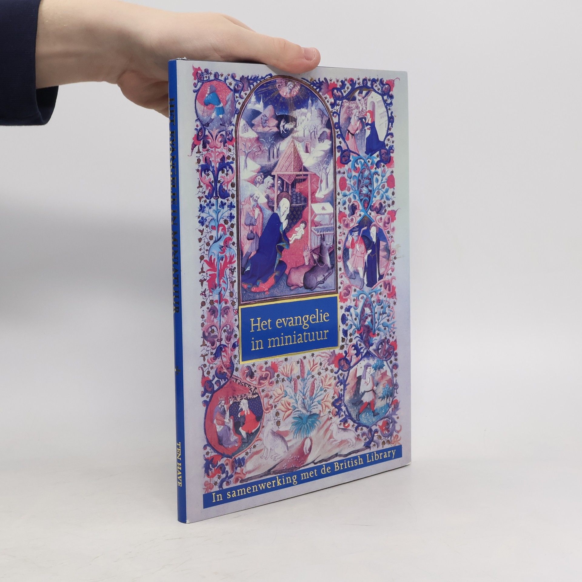 Annemeike M. Tan Het evangelie in miniatuur