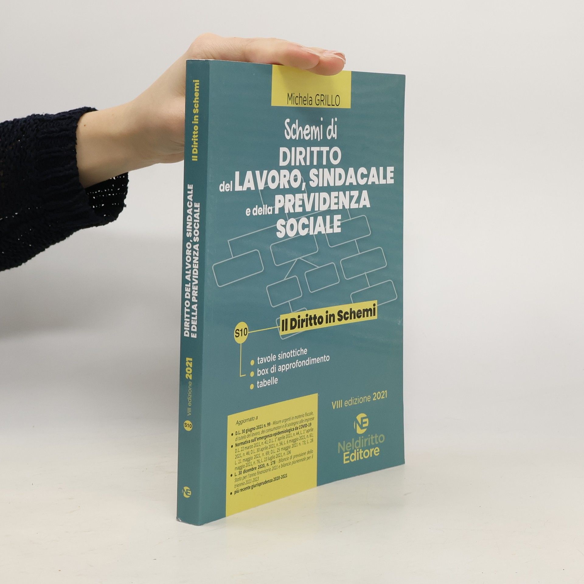 Michela Grillo Il diritto in schemi - 8: Schemi di diritto del lavoro, sindacale e della previdenza sociale