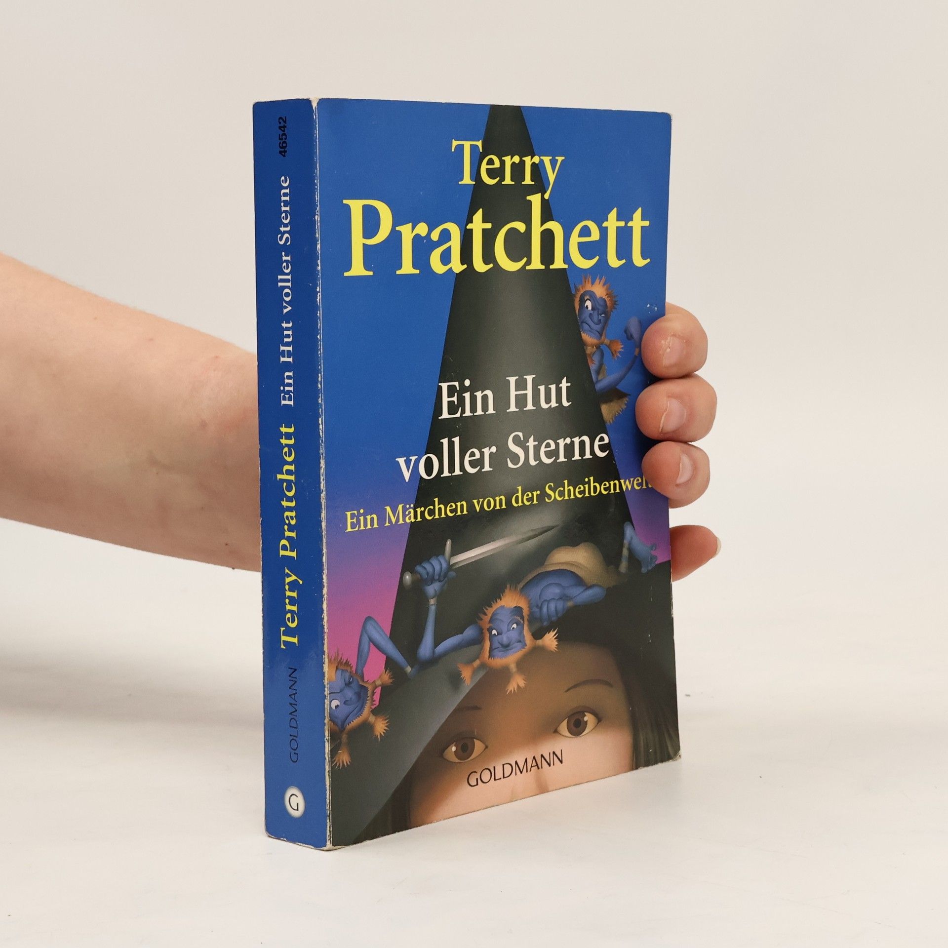 Terry Pratchett Ein Hut voller Sterne
