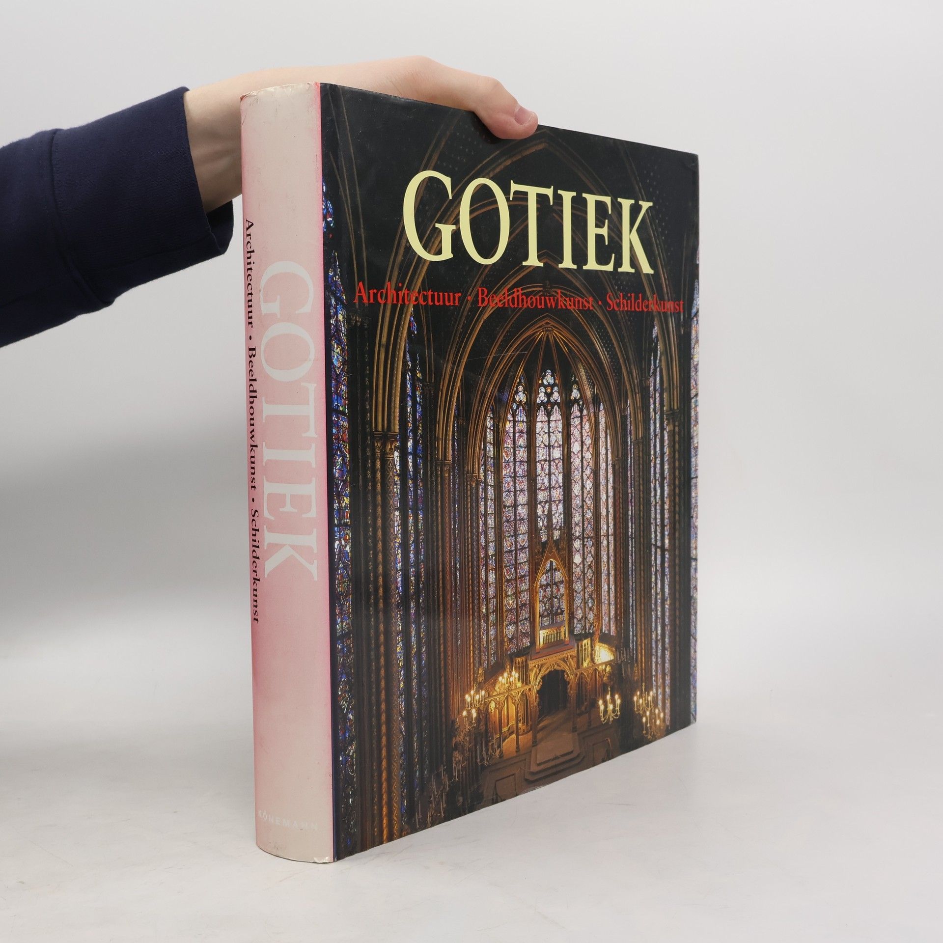 De kunst van de Gotiek