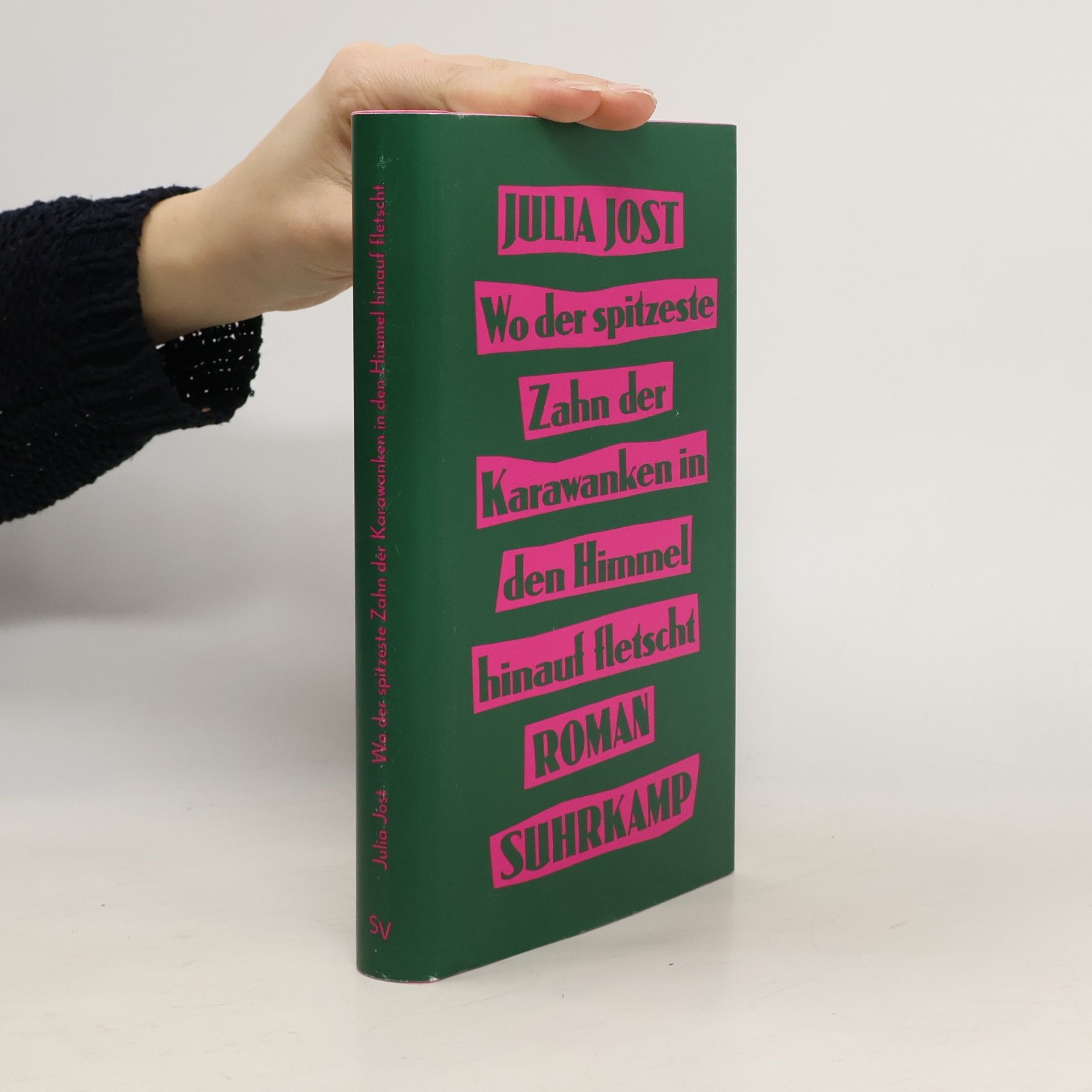 Julia Jost Wo der spitzeste Zahn der Karawanken in den Himmel hinauf fletscht