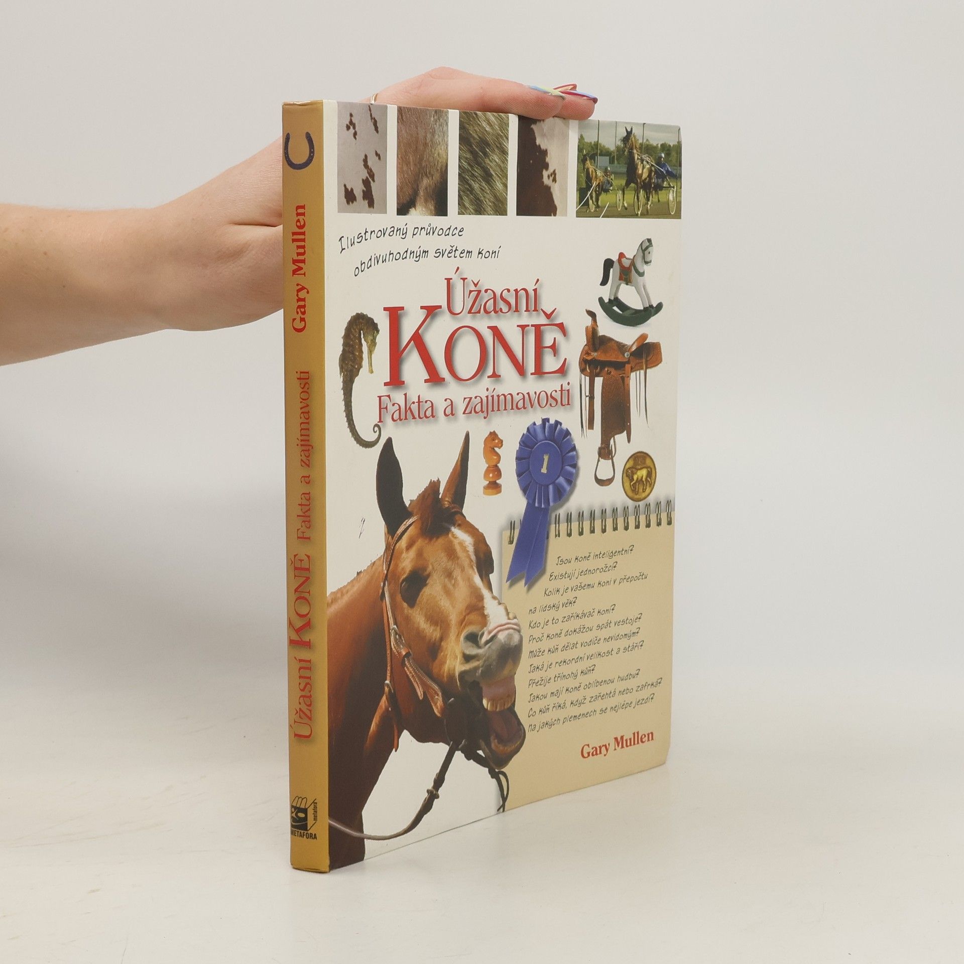 Úžasní koně: fakta a zajímavosti