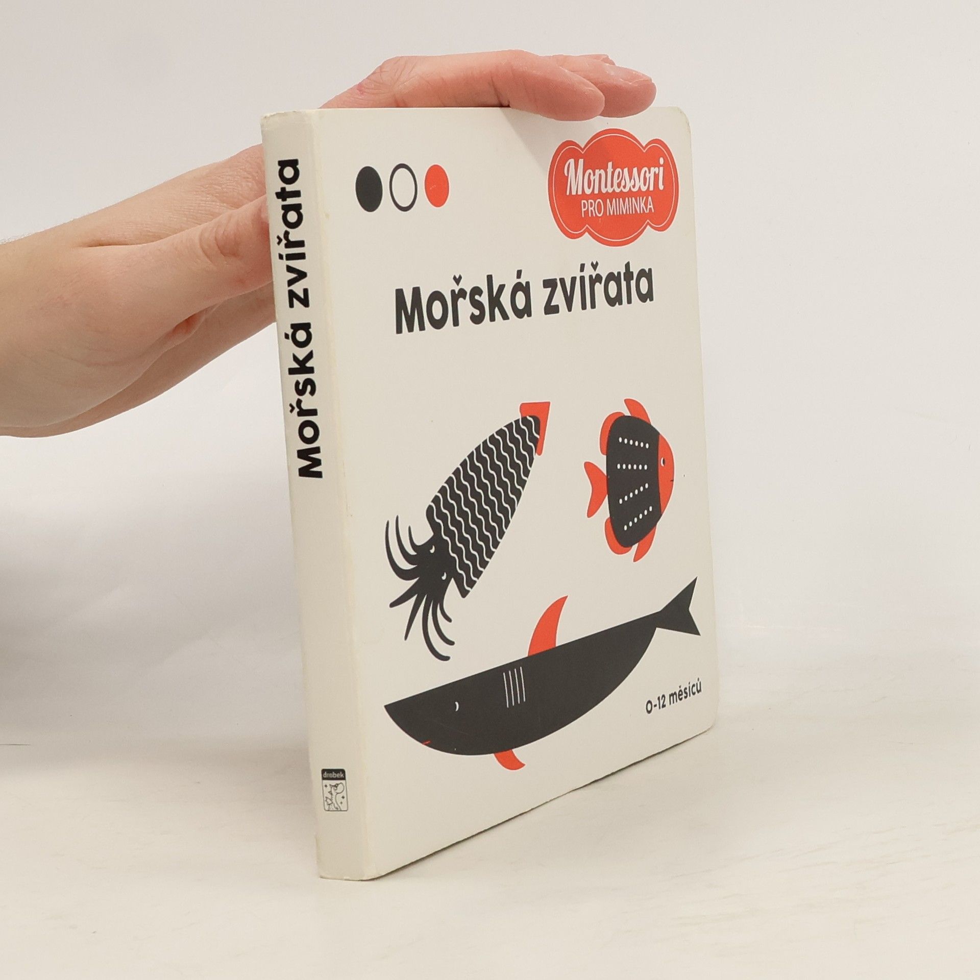 Agnese Baruzzi Mořská zvířata